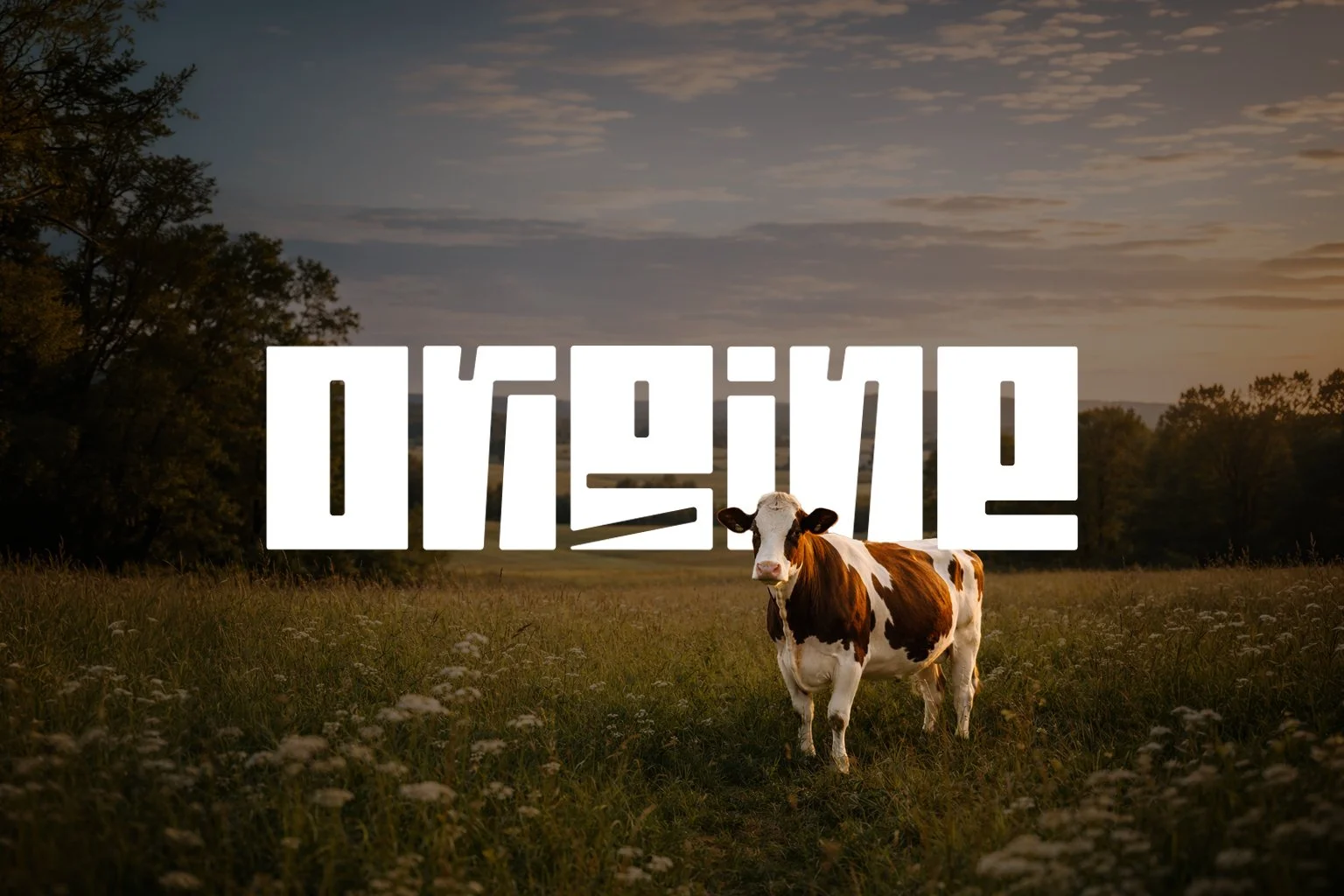 Origine - Brand Identity