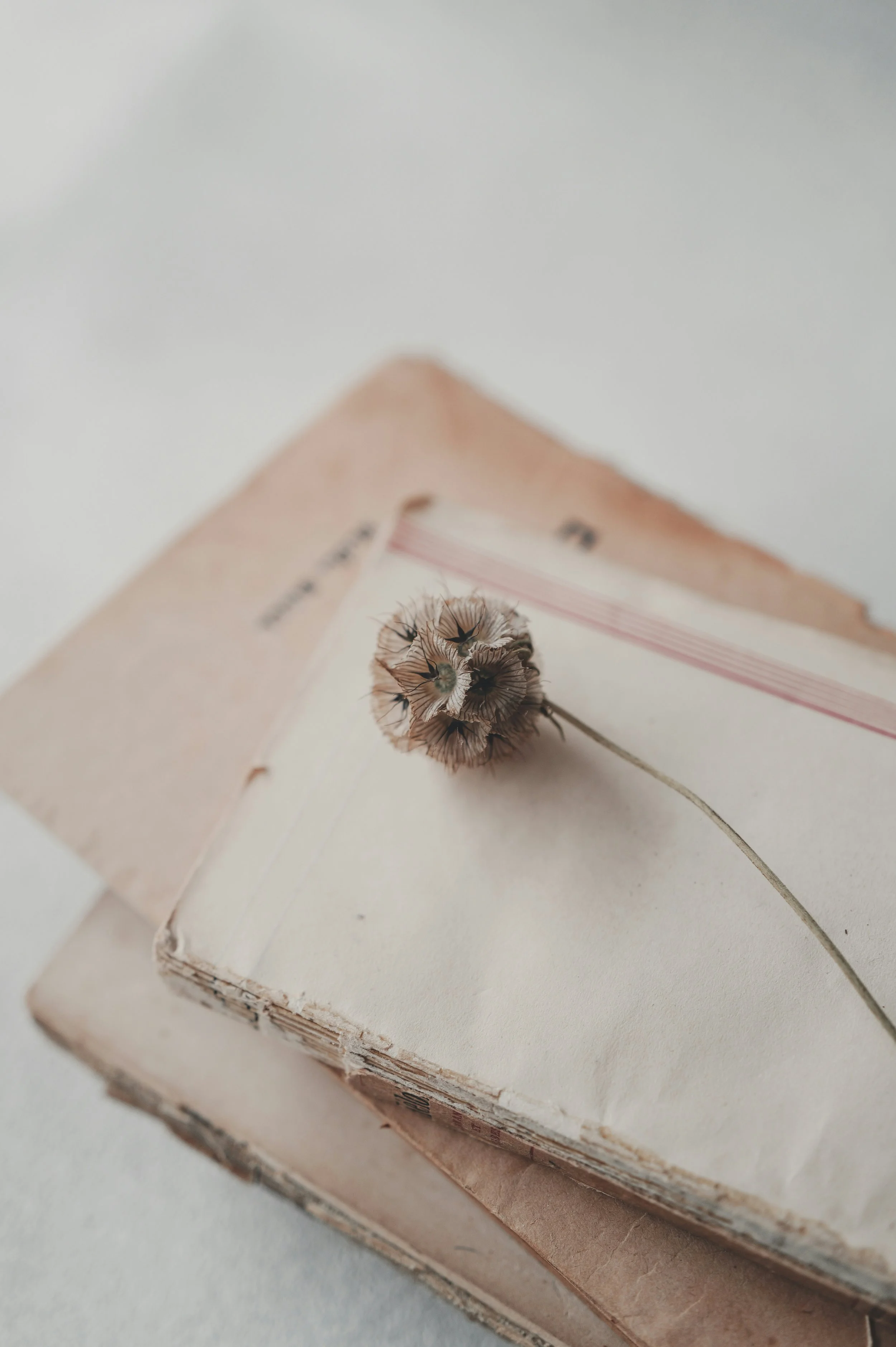 Burnout vs. Everyday Stress: How to Know the Difference