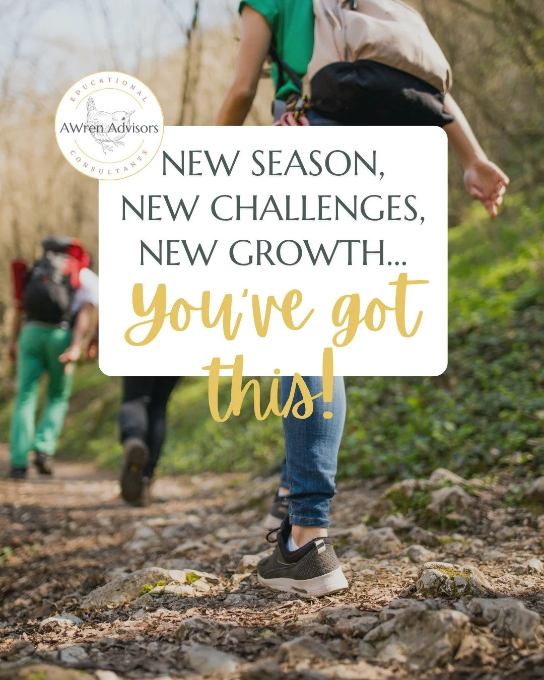 If fall feels overwhelming, remember it's a time of change. Support is just a message away--I currently have 2 spots available to work one-on-one with students. DM to learn more. ✨

#collegelife #studentsupport #awrenadvisors