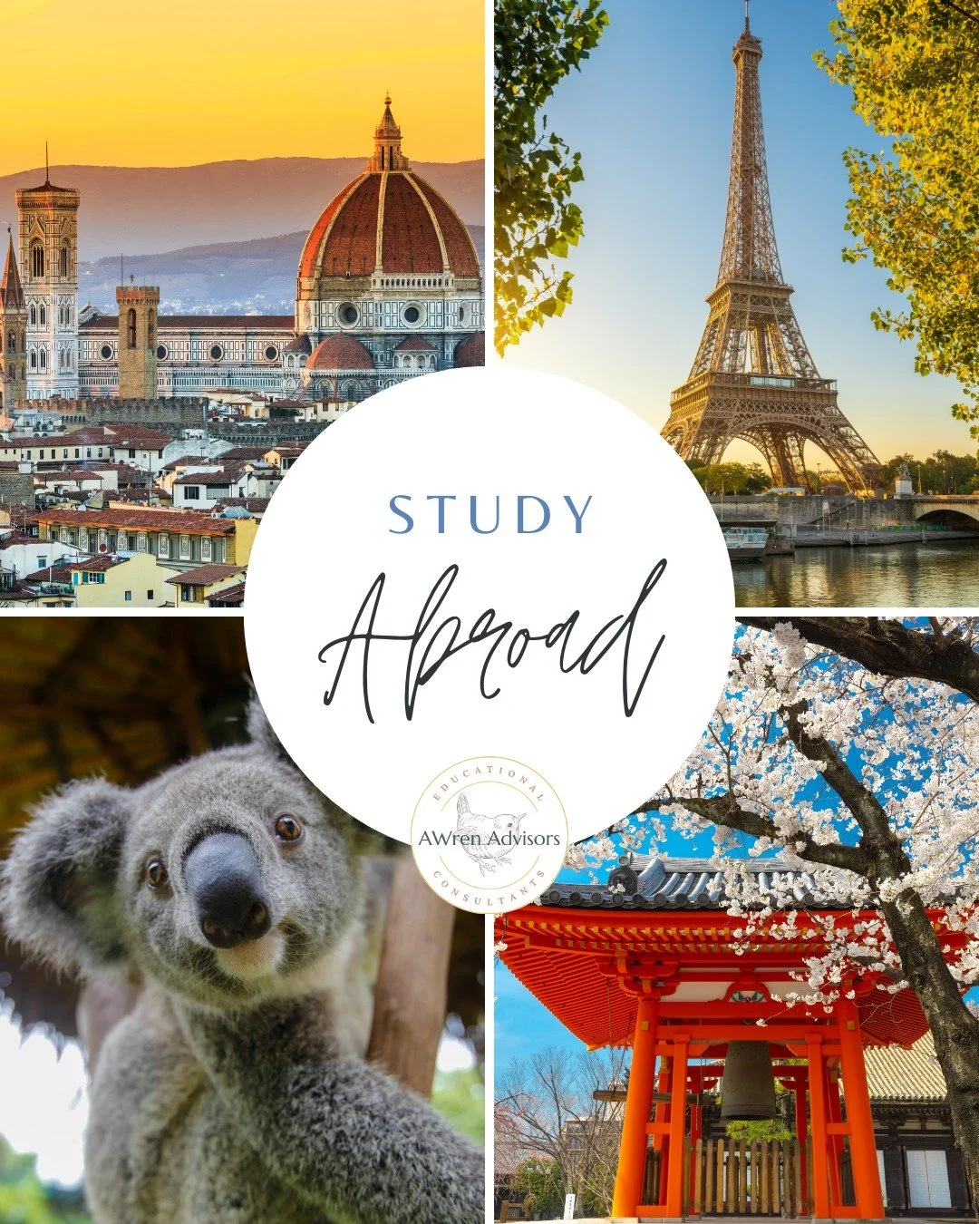 Thinking about studying abroad? 🌍
Here&rsquo;s something most students don&rsquo;t hear early enough 👇

If you want to go abroad junior year, you should start thinking about it now, especially if you&rsquo;re a first or second year student.

✨ You 