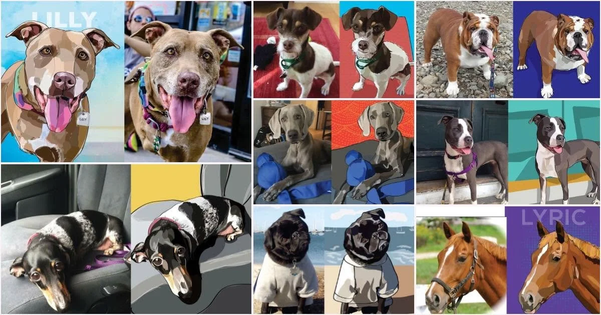 A collage of various dogs, including photographs and stylized illustrations. The images feature different breeds and poses, some with backgrounds and others with plain or digital backgrounds.