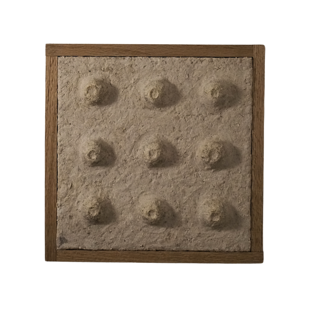 Barnaclefront.png