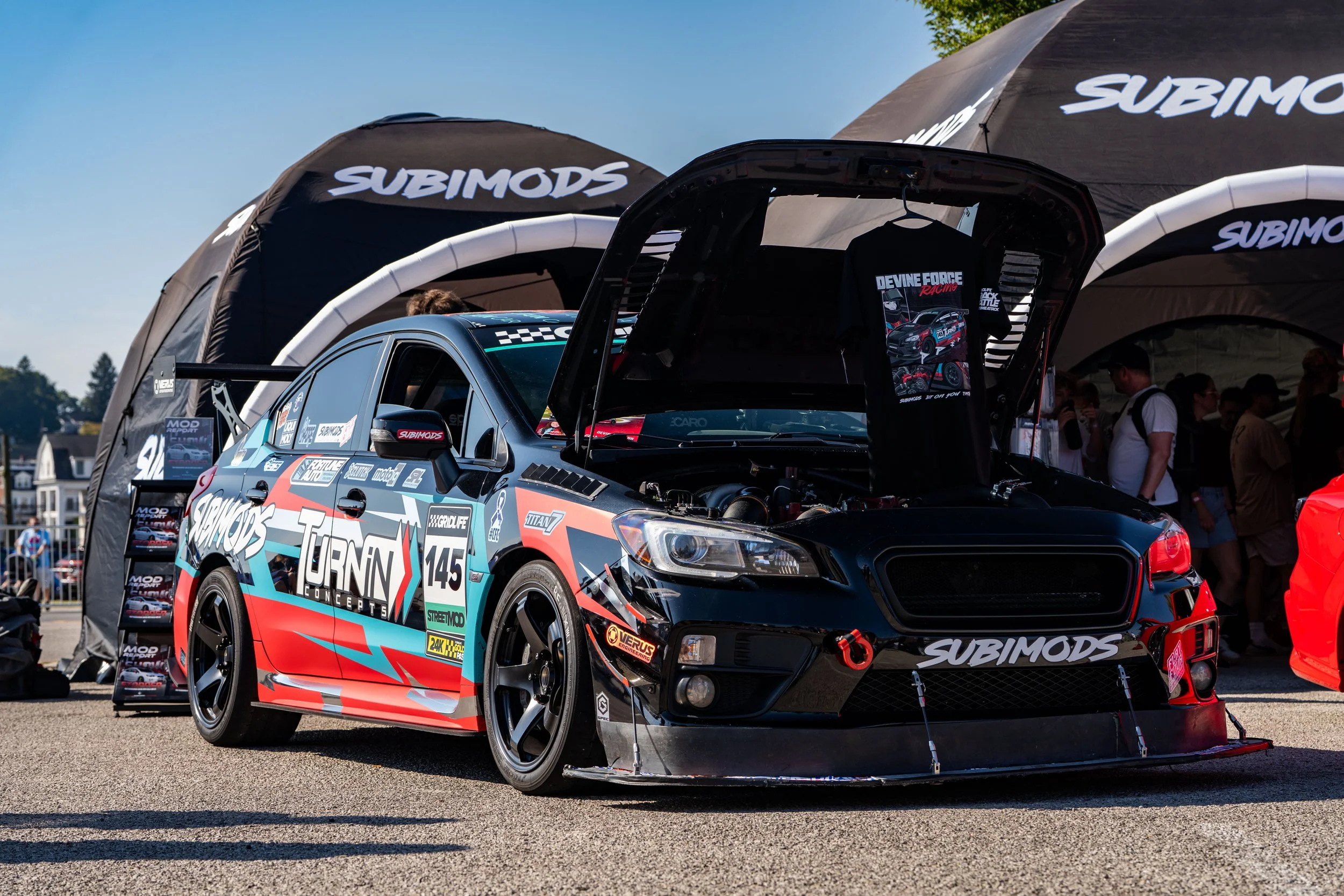 Boxerfest 2025 Photos - FULL REZ-09248.jpg