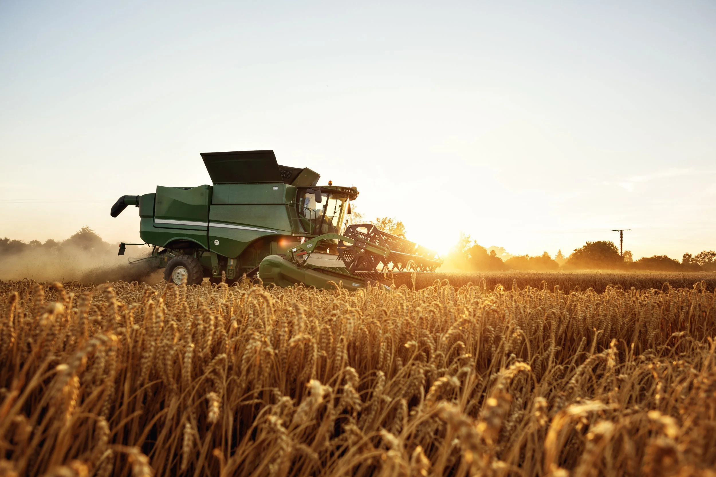 A large green combine harvester working in a wheat field during sunset.