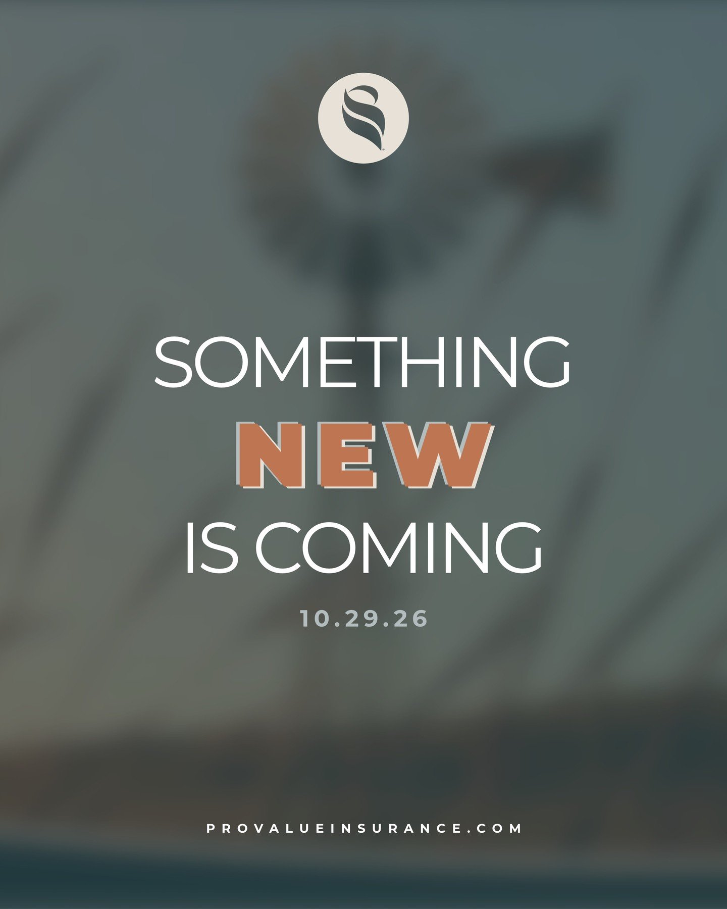 We've been working on something exciting behind the scenes!

Check back tomorrow 👀