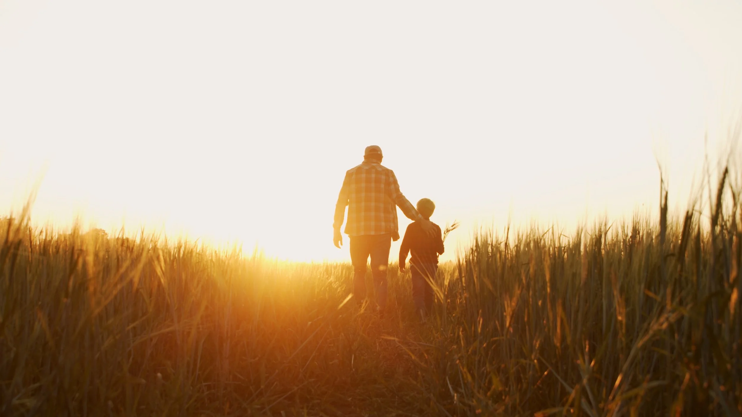 A person and a child walking hand in hand through a field of tall grass at sunset.