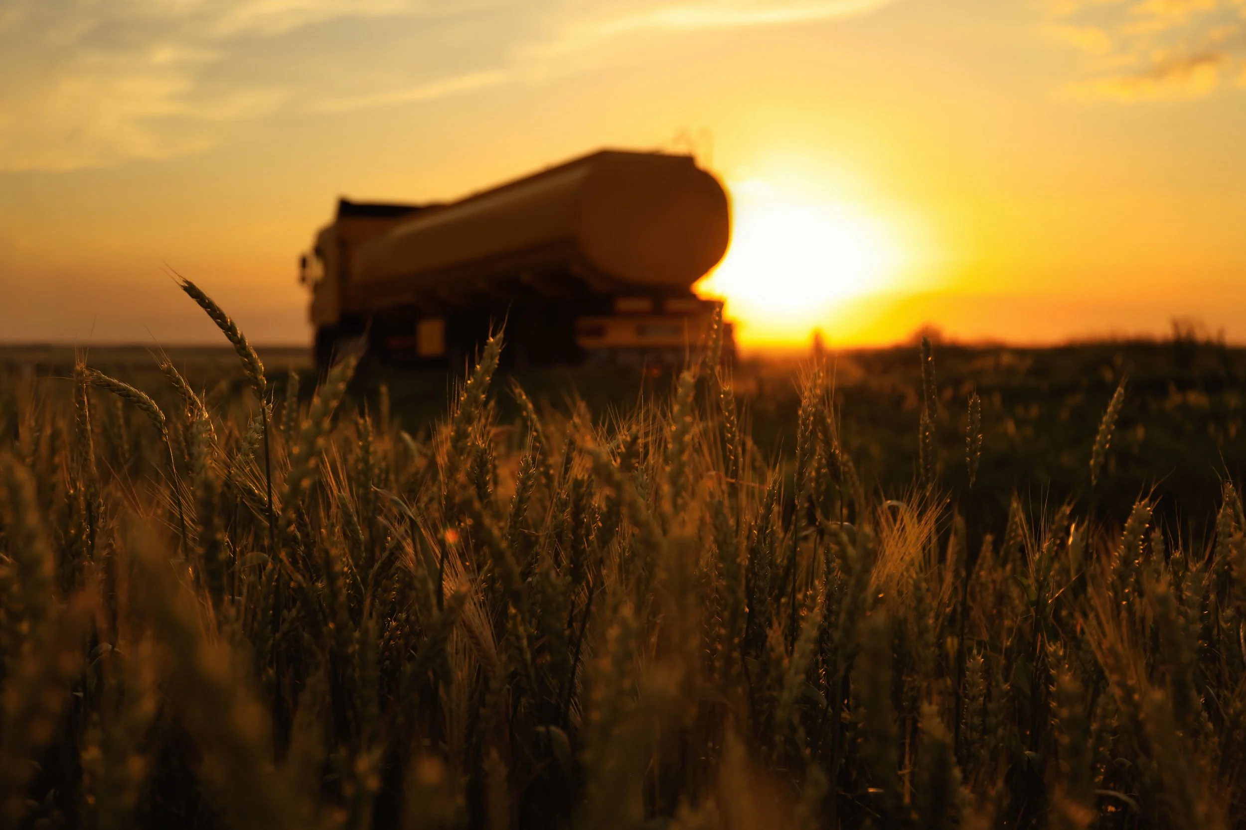 A tractor in a wheat field at sunset with the sun low on the horizon, golden sky, and wheat stalks in foreground.