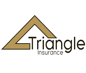 Logo for Triangle Insurance featuring a stylized triangle and the company name.