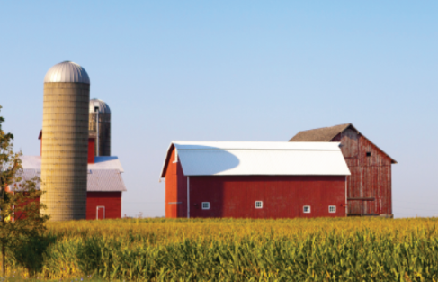 A red barn with a white roof, a silo, and another red barn on farmland with tall grass and a clear blue sky.