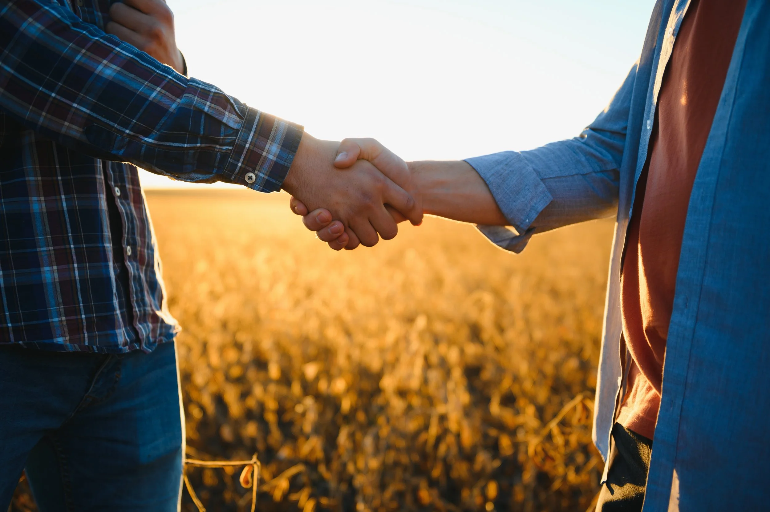 Two people shaking hands outdoors during sunset, with a field in the background.