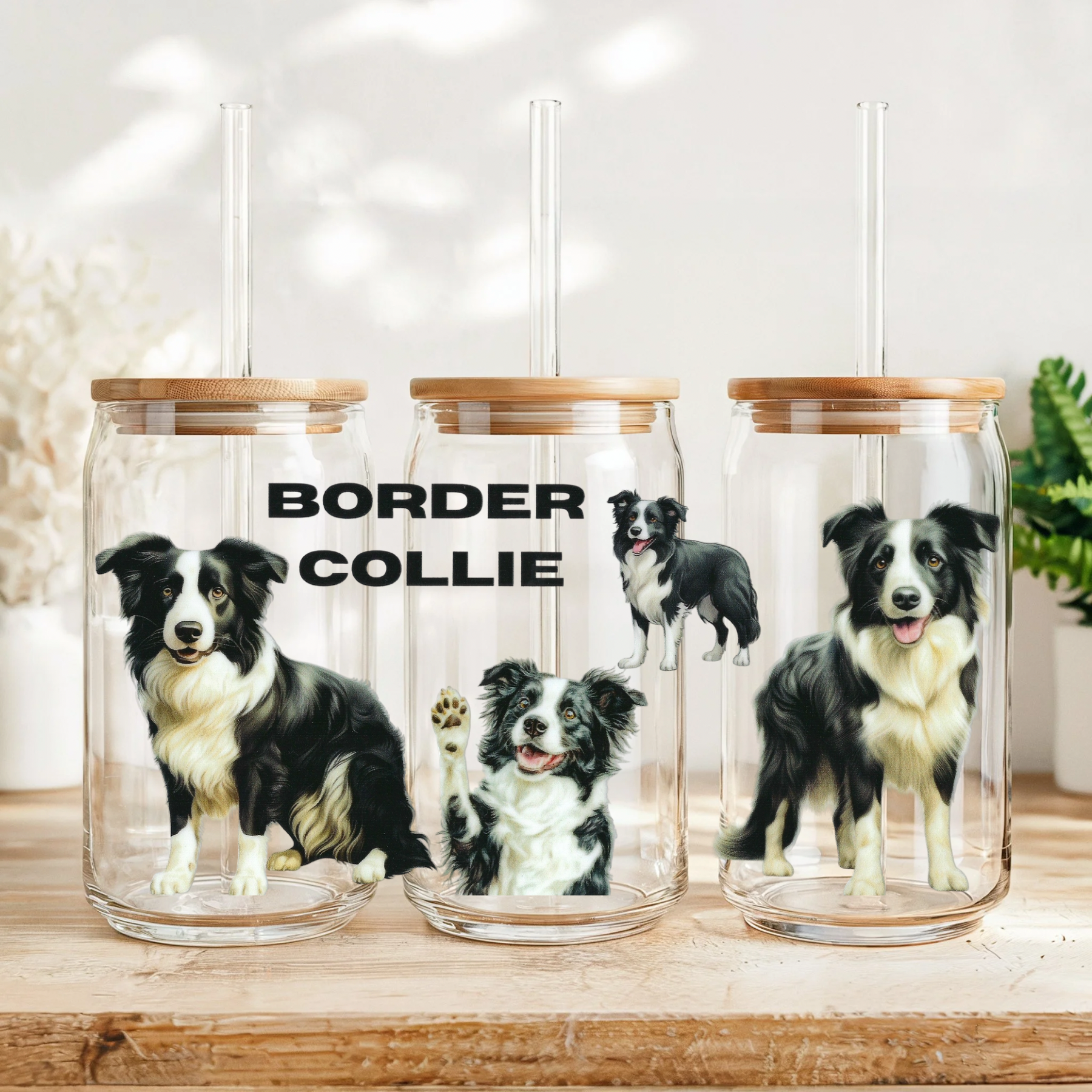 Border Collie Wrap