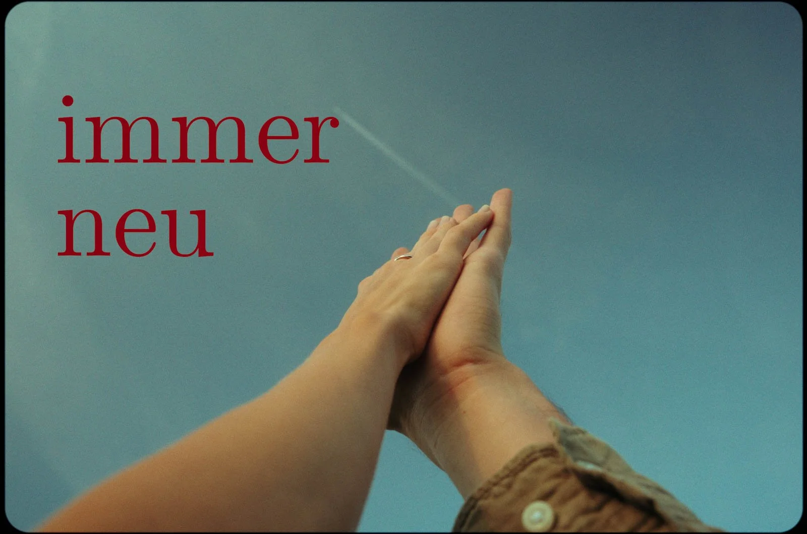 sbd_web_0825 (209 von 210).jpg