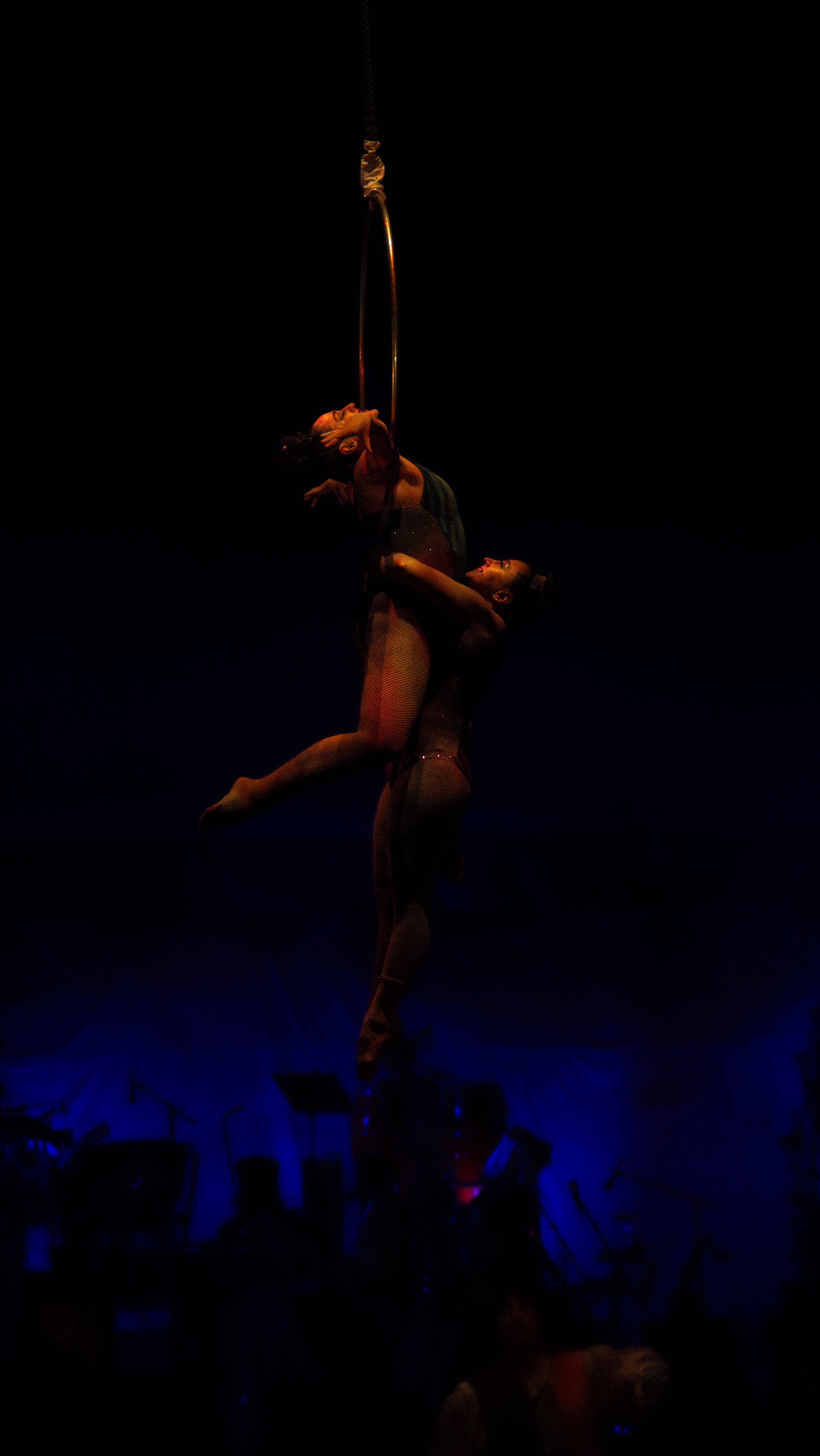 GIF01531-Enhanced-NR.jpg
