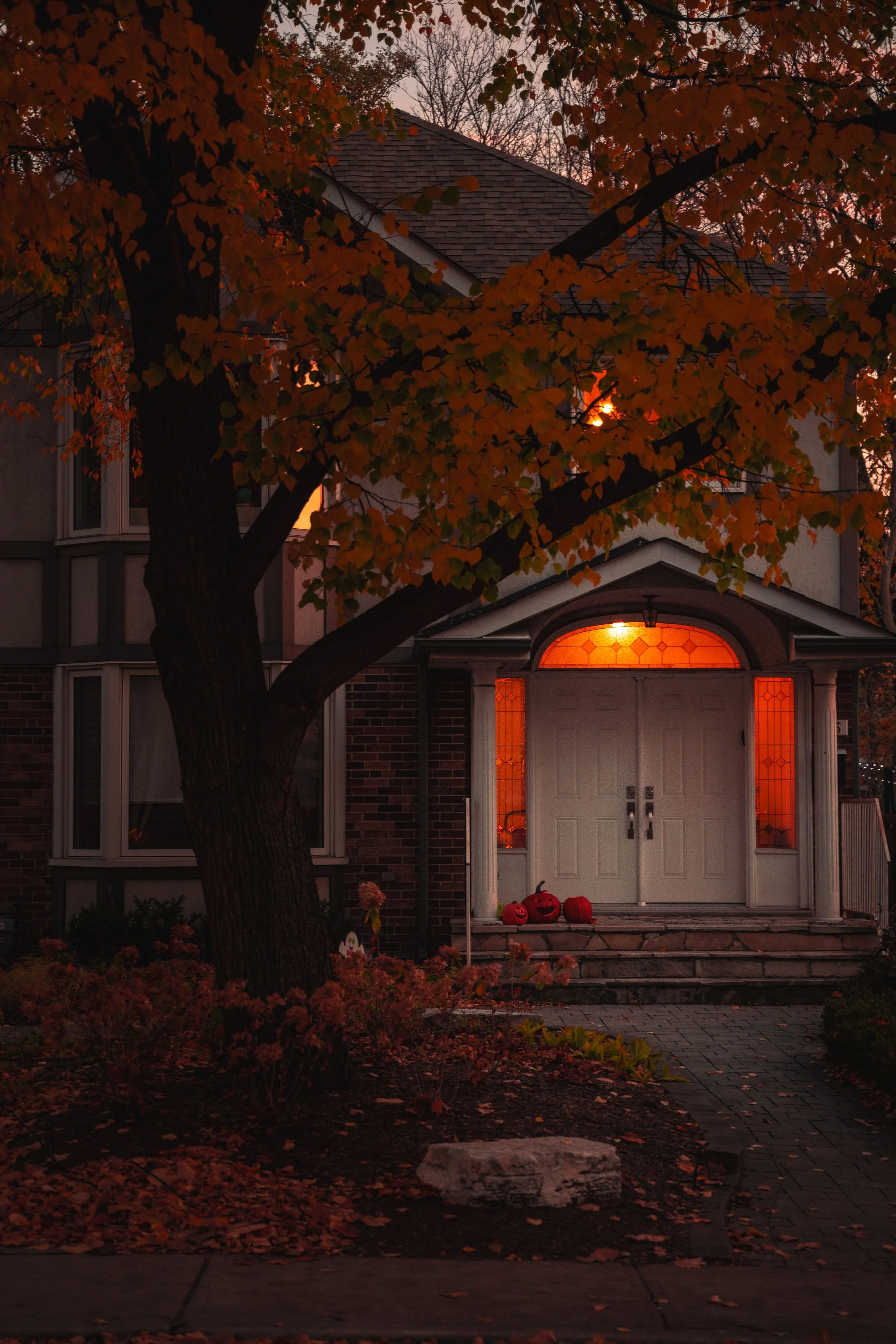 7 Fall Backyard Ideas for Northern Virginia Homes