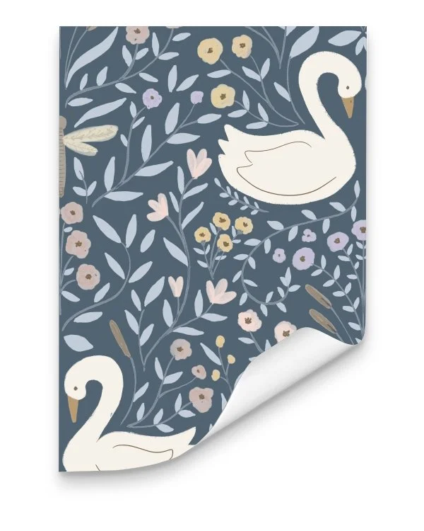 DC COLOR NOITE 02.jpg