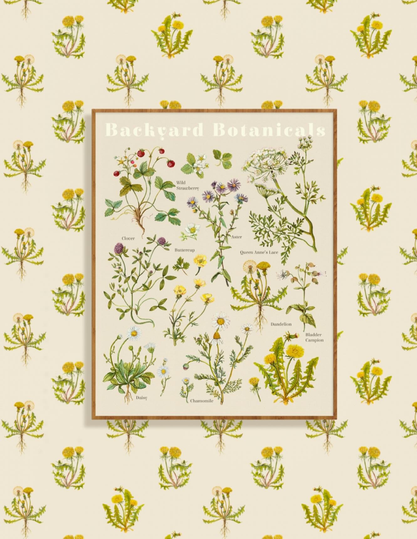 Cottage vibes ✨☀️✨☀️✨☀️
.
My Backyard Botanicals art print with my dandelion wallpaper making a perfect pairing. 
.
.
#artprintsonline #cottagevibes #cottagecoreaesthetic #nostalgicvibes #vintageinspired #dandelionprint #artlicensing #surfacepatternd