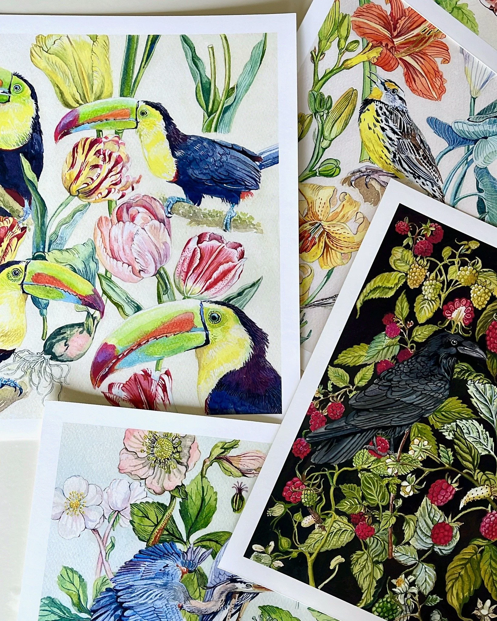 ⚡️ The Birds &amp; Botanicals collection ⚡️

Mix and match your favourites to create that vintage botanical vibe inspired by 19th century natural history prints and watercoloured by yours truly. 

25% off for Artful Garden subscribers on Aug 1st or f
