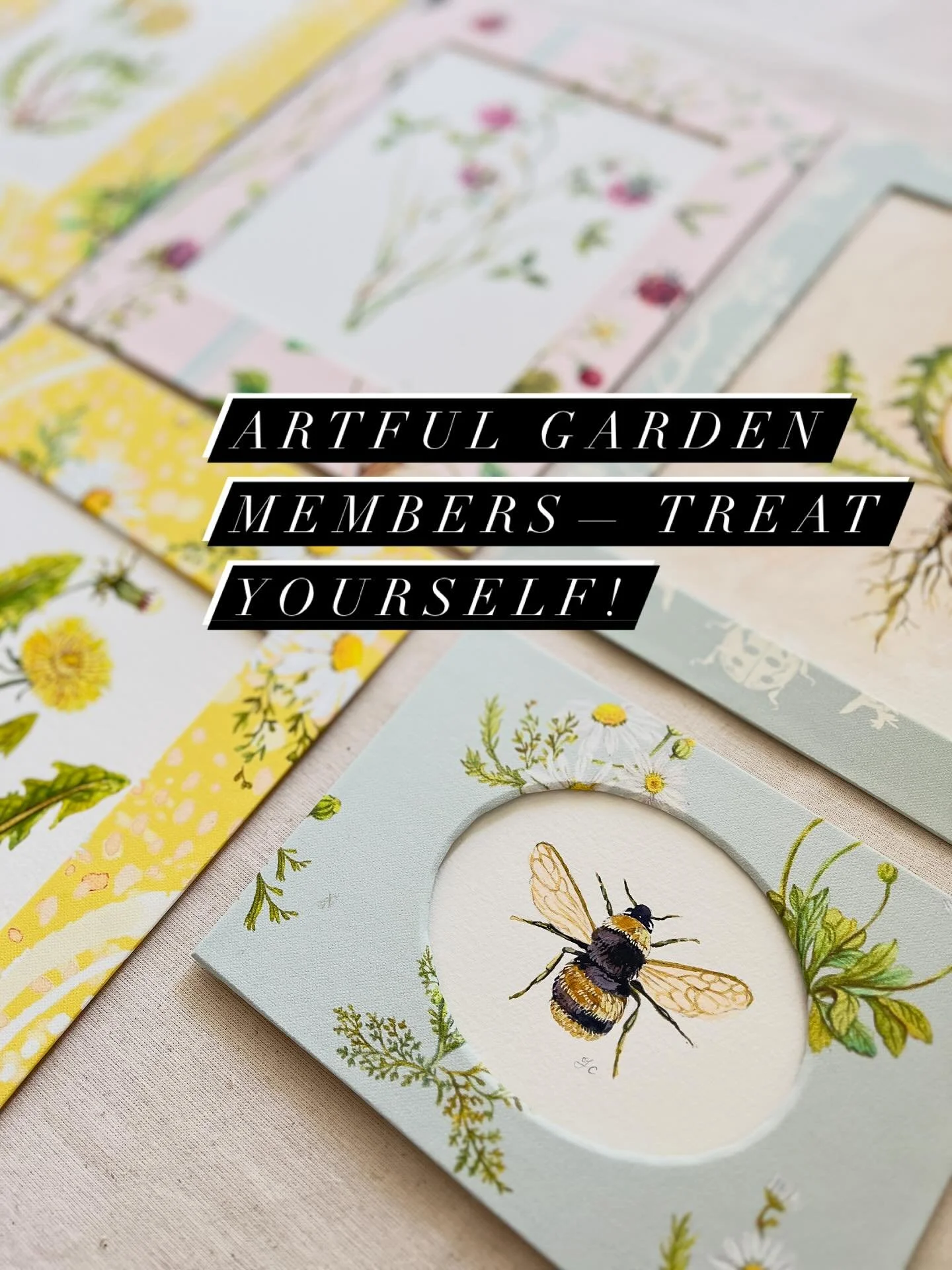 25% off for Artful Garden members only this long weekend! I&rsquo;ll be emailing you all your coupon code at 7pm est. 

If you would like to join, tap the Artful Garden link in my profile for more info!

Your desktop calendar wallpaper for August is 