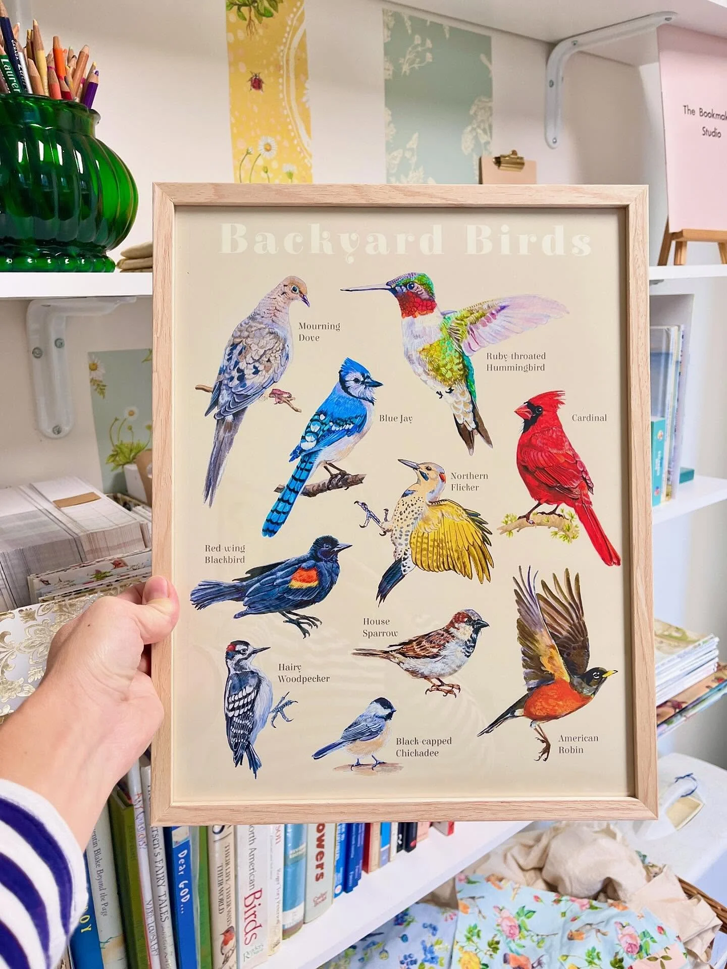 Studio reno continues. I&rsquo;ll share where I got these frames in a future newsletter. To sign up you can tap the link in my profile. Yay! 
.
.
#studiovibes #illustratorstudio #backyardbirds #artprints #canadianmade #shopprints #whimsicalillustrati