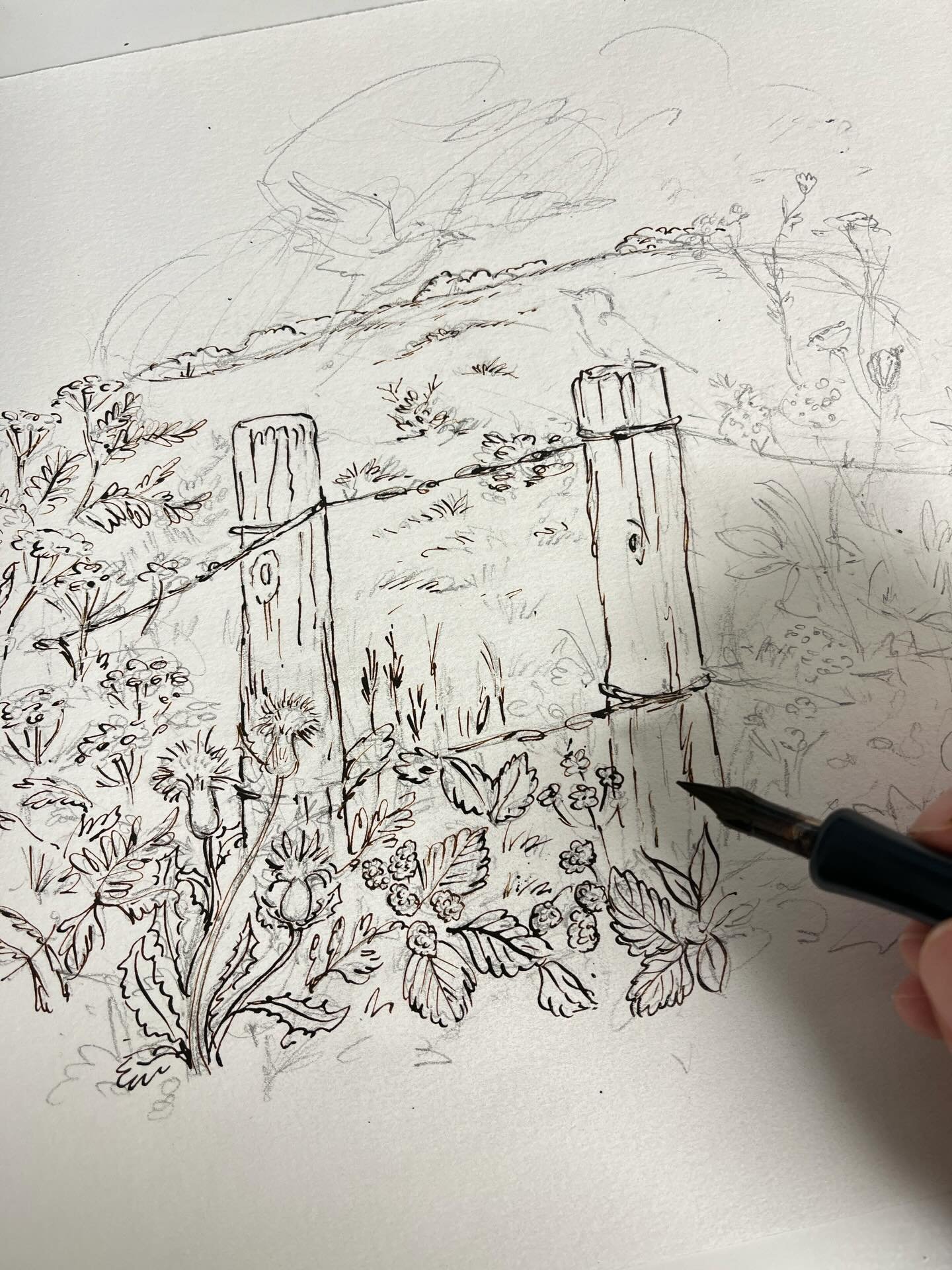 Wait until you see how this picture actually turned out&mdash;a mish-mash of 4 different paintings pieced together in photoshop which is how I seem to be working these days and I&rsquo;m enjoying it. Reveal in Project Upland magazine sometime in the 