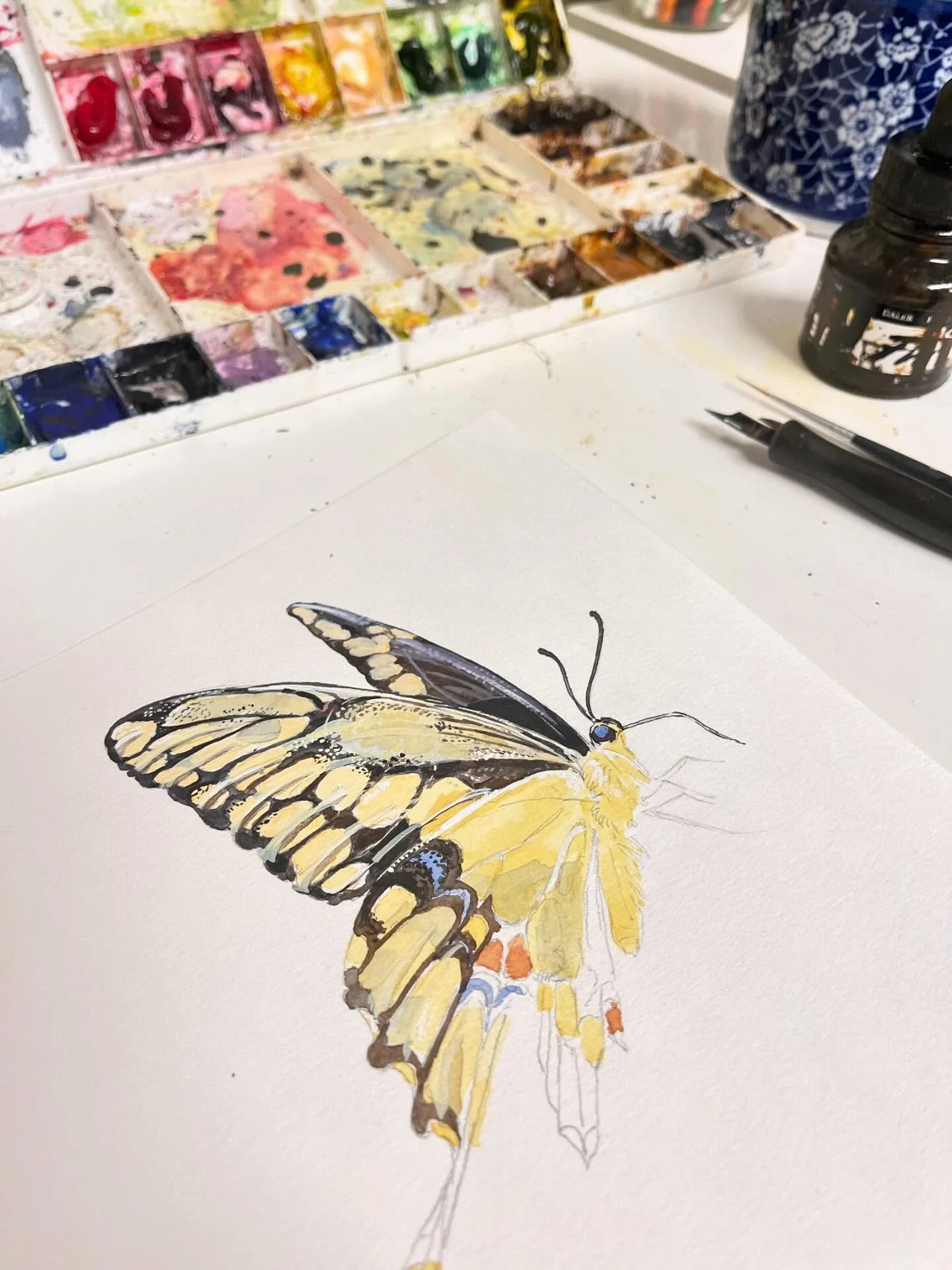 Just over here torturing myself with this giant swallowtail. 🫶
.
.
Editorial Illustration | Pollinators | Strawberry Snail Illustrations