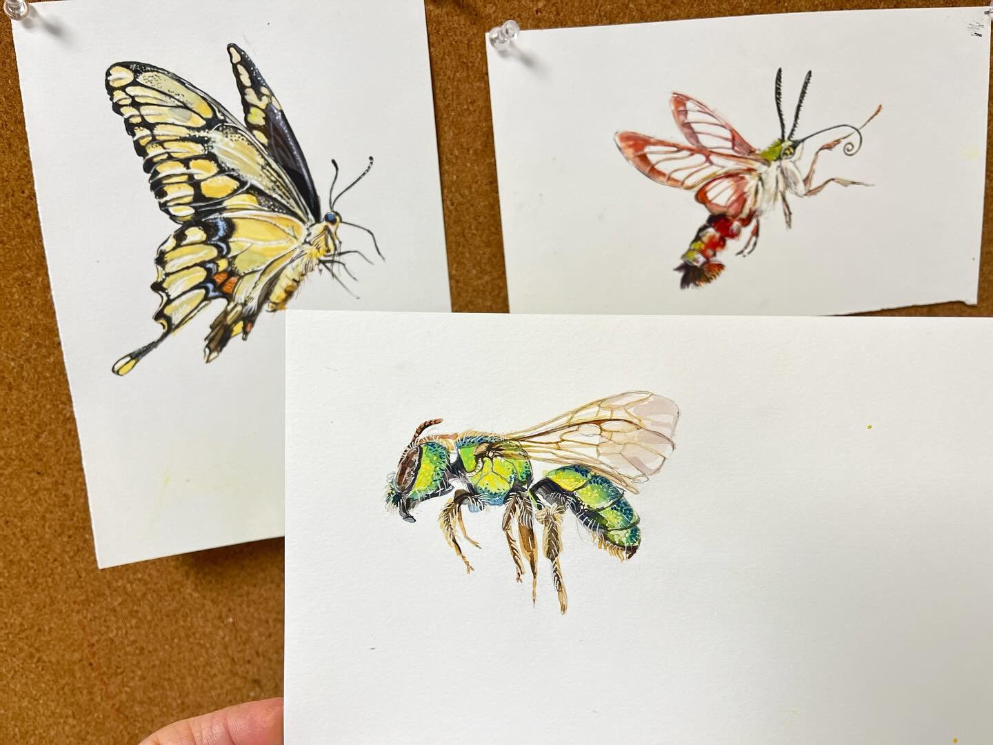 Insects are those things where you can macro/micro observe. It&rsquo;s wild. I don&rsquo;t need to do this much detail, in fact, I probably shouldn&rsquo;t. But here I am. It&rsquo;s a trip. 
.
Editorial Illustration | Pollinators | Strawberry Snail 