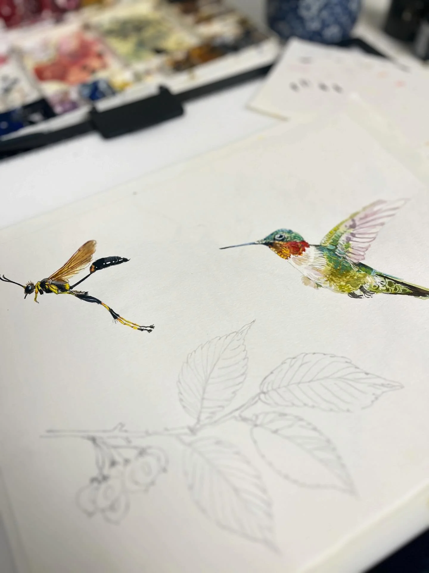 Mud dauber and ruby throated. 
.
Watercolour and gouache

Magazine Illustration | Pollinators | Hand-painted | Strawberry Snail Illustrations