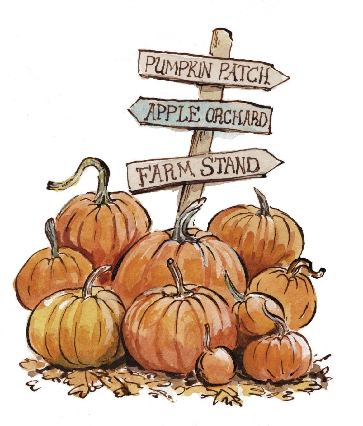 Pumpkins.jpg