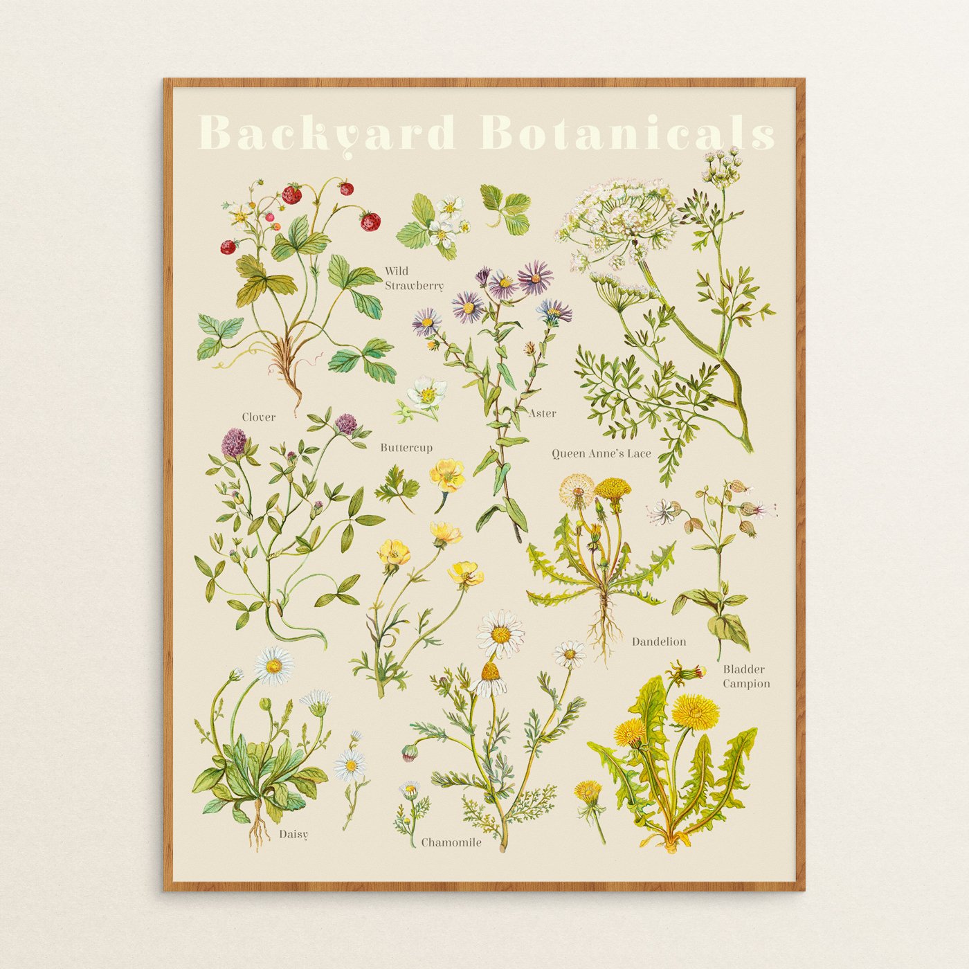 BackyardBotanicalsFramed.jpg