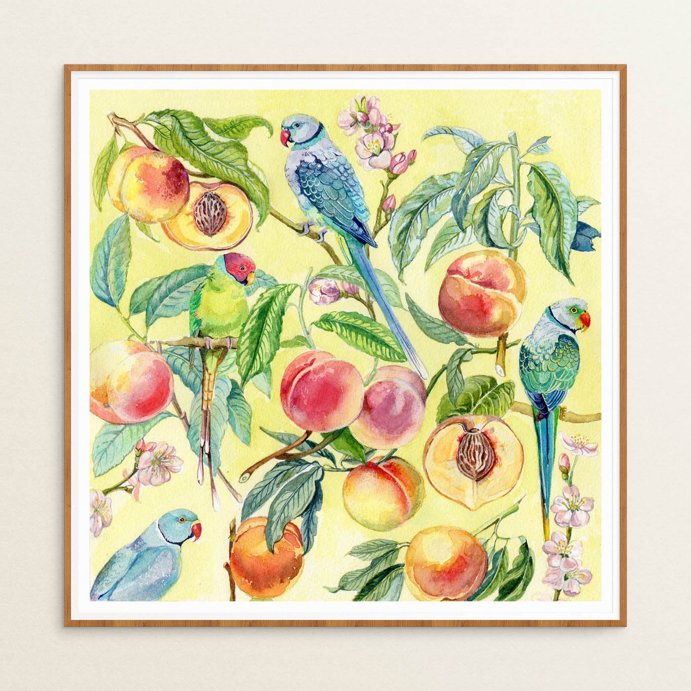 Parakeets. Framed.jpg