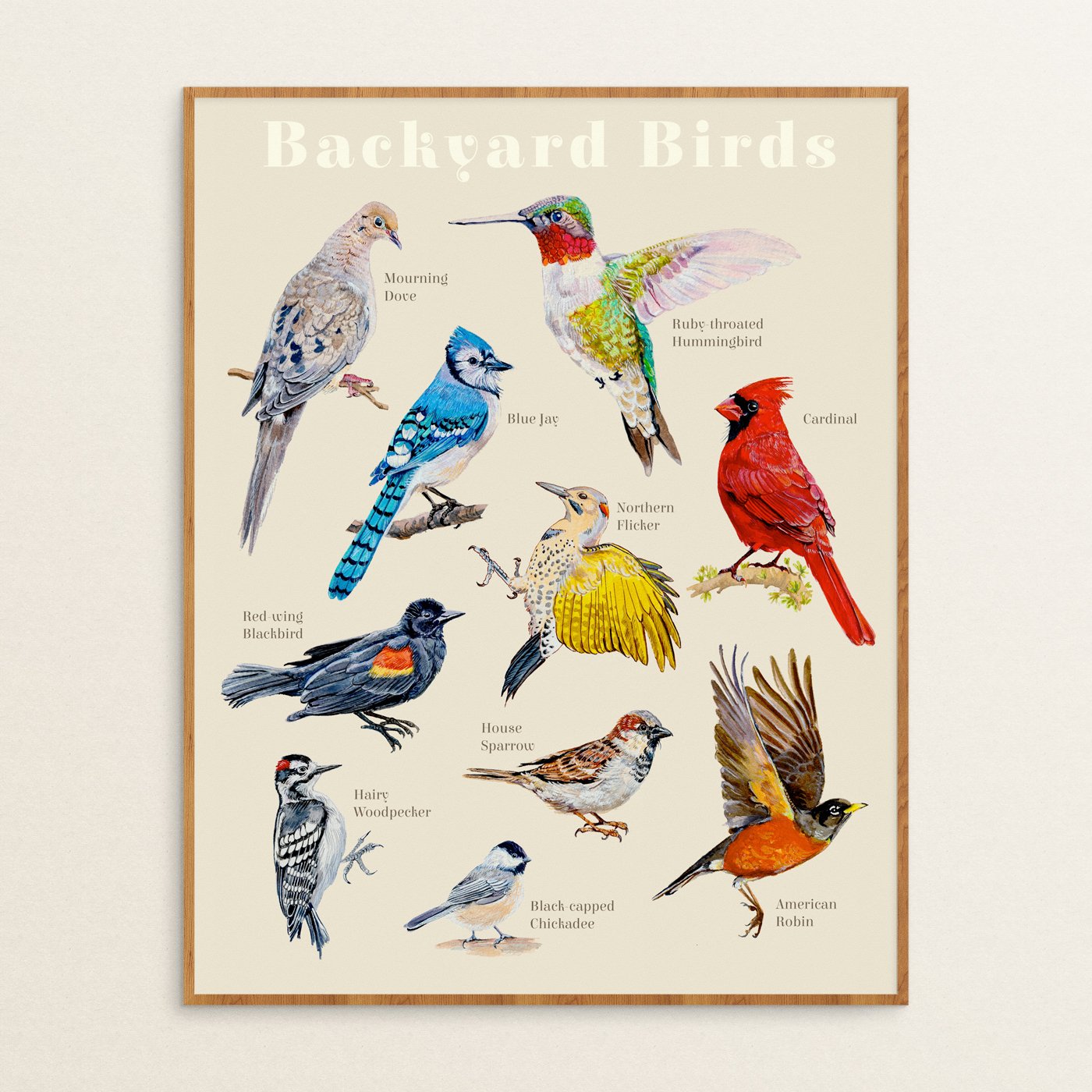 BackyardBirdsFramed.jpg