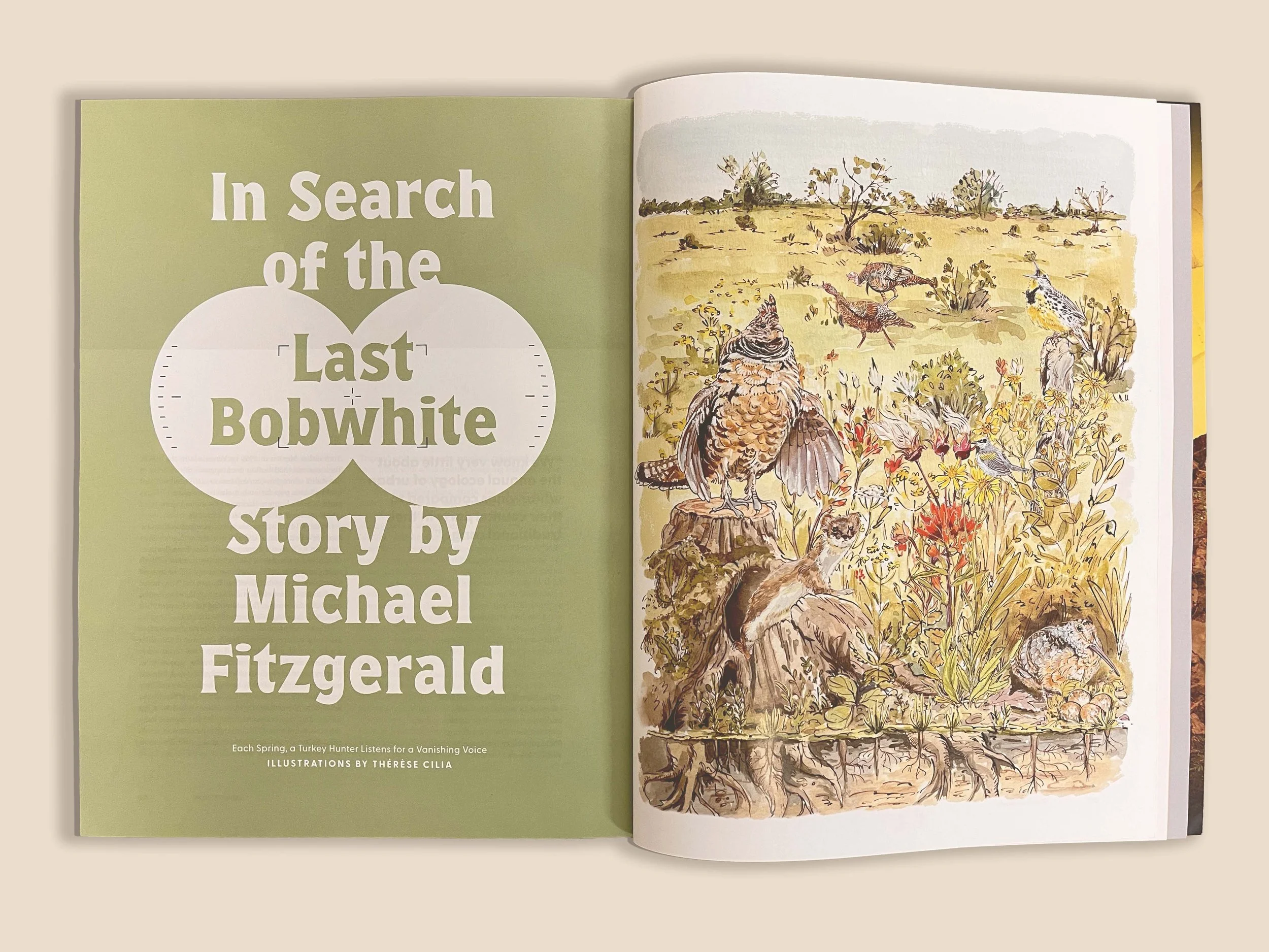 ThelastBobwhite.jpg