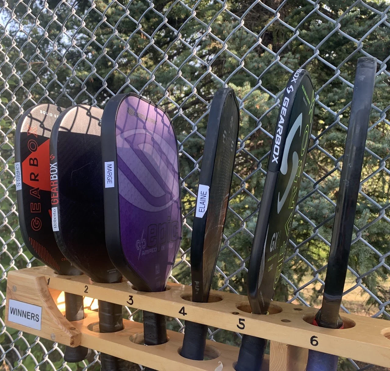 Golf club drivers arranged in a wooden holder labeled from 1 to 6, with names like 'Gears of Gearbox' and 'Elaine', set against a chain-link fence and trees in the background.
