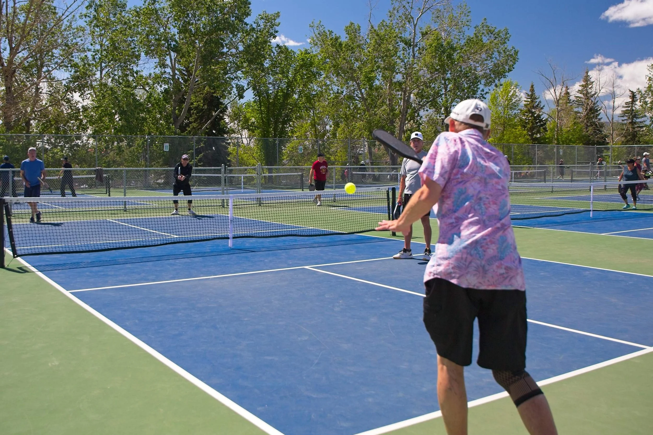 People playing pickleball on outdoor courts on a sunny day, with trees and blue sky in the background.