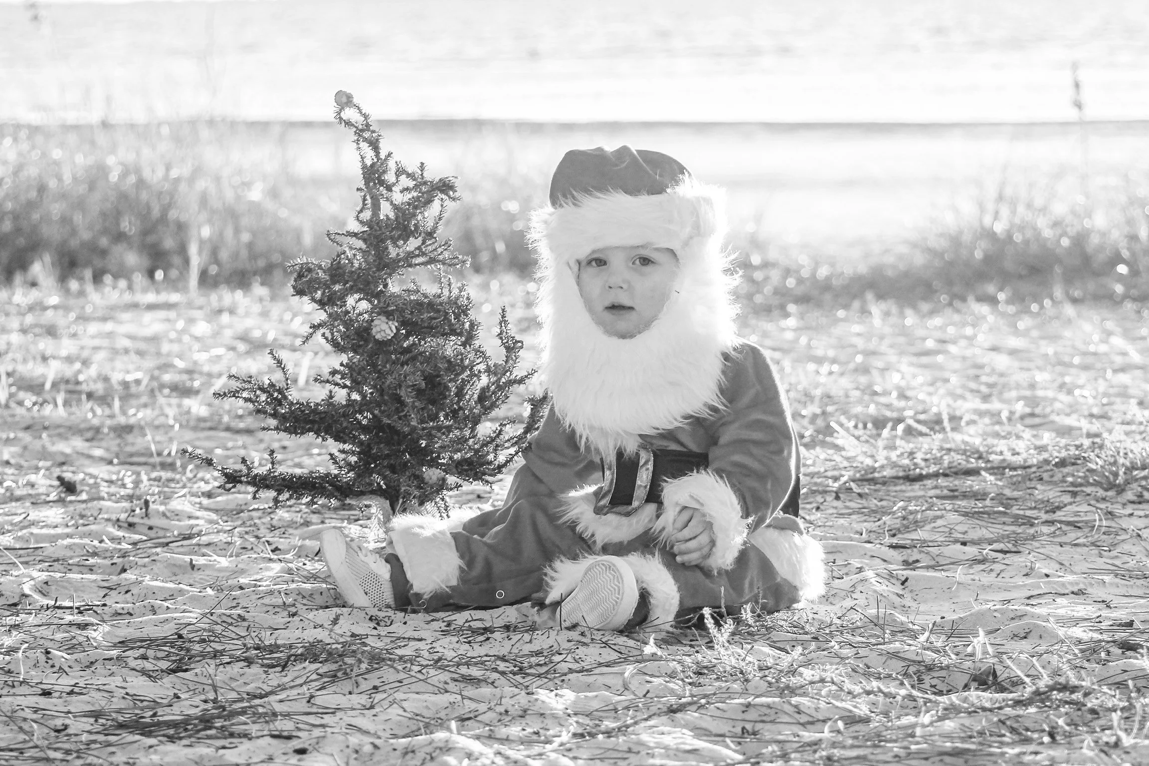 Burnett - Christmas 2025