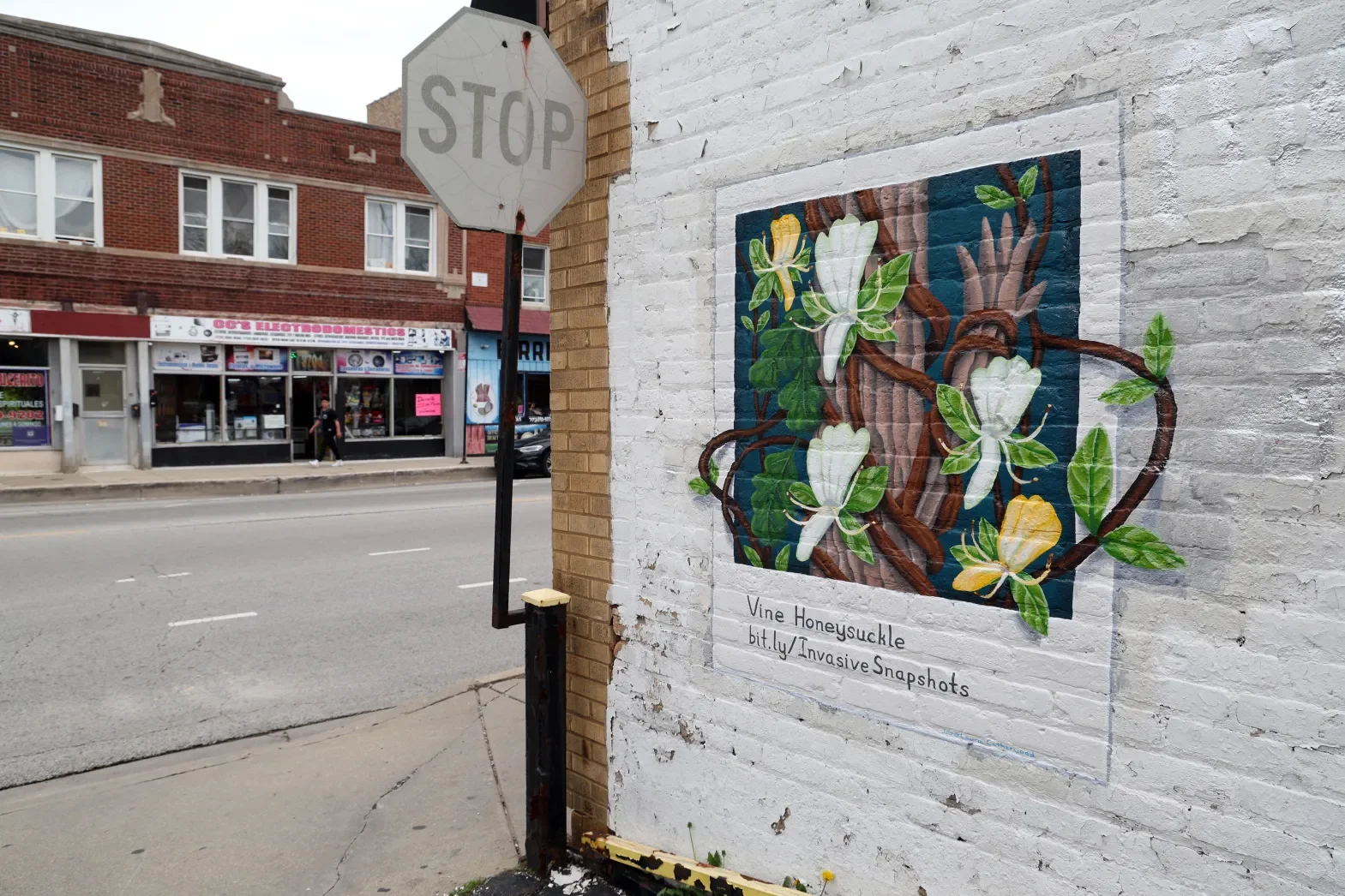 UIC researchers use mural art to raise awareness of invasive plant species