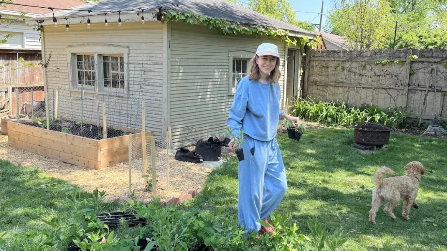 Neighborly networks aim to boost pollinator populations one block at a time