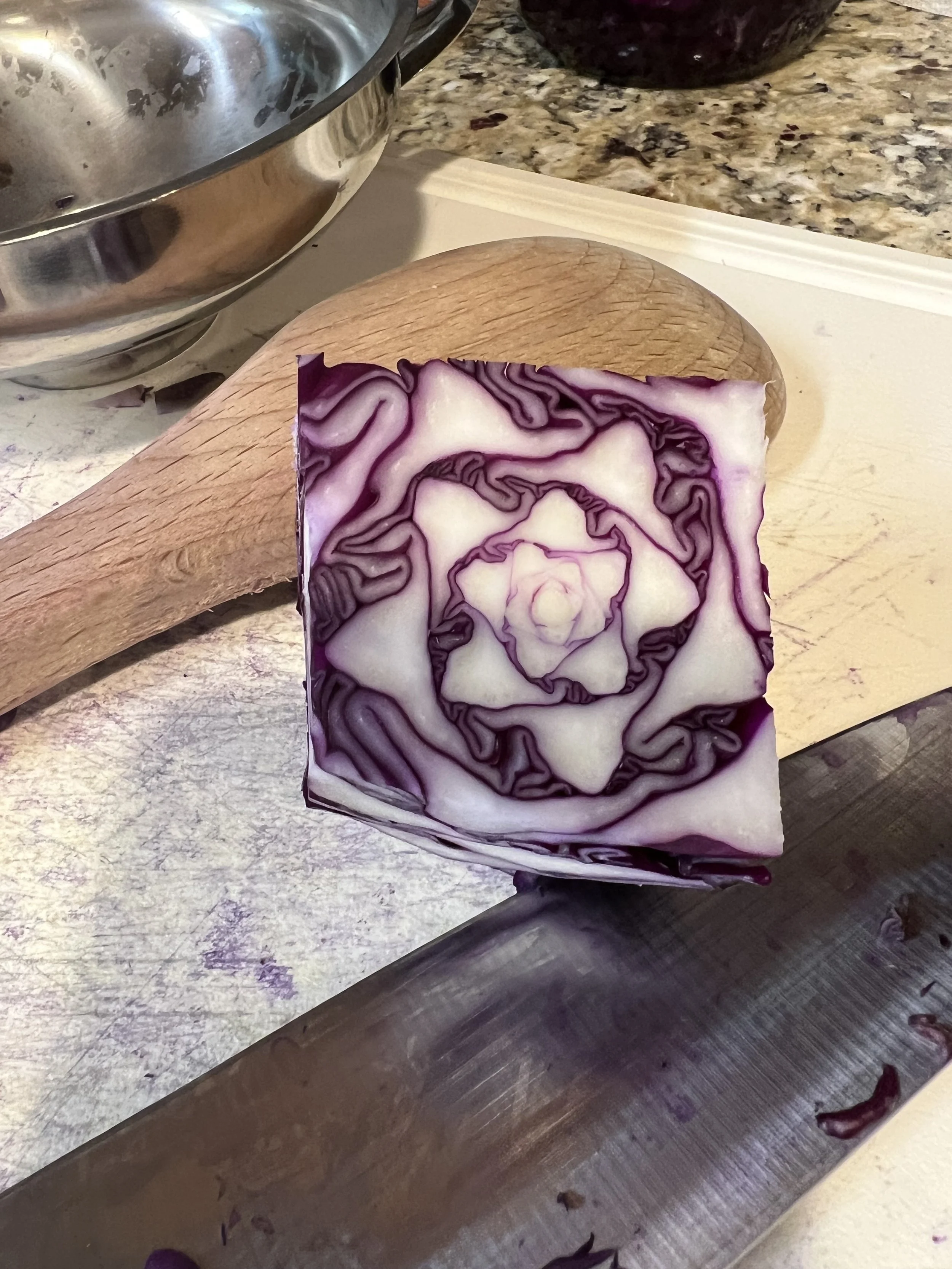 Red Cabbage Sauerkraut: A Probiotic Powerhouse for the Whole Family