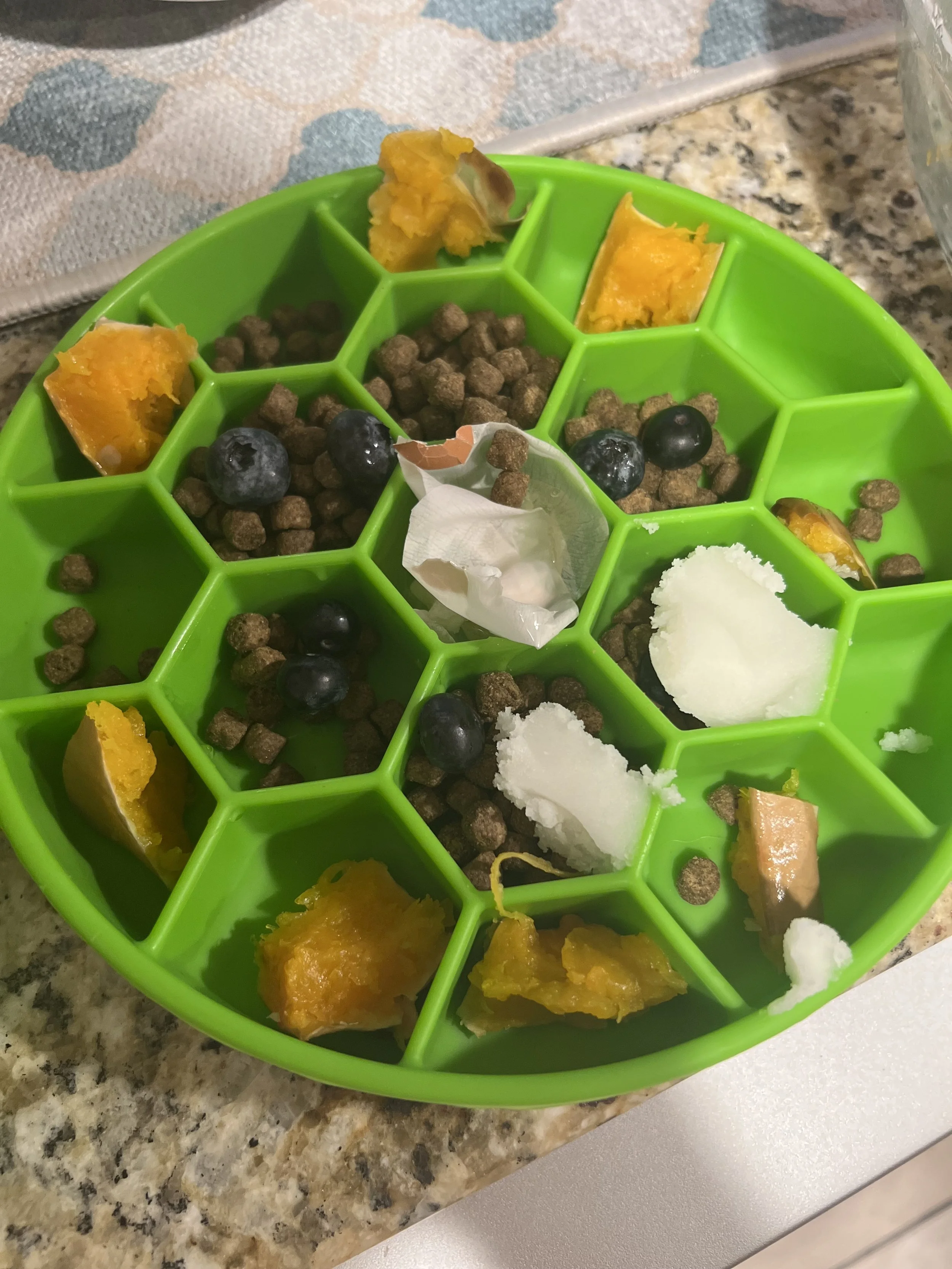 7 Easy Fresh Food Dog Meal Upgrades