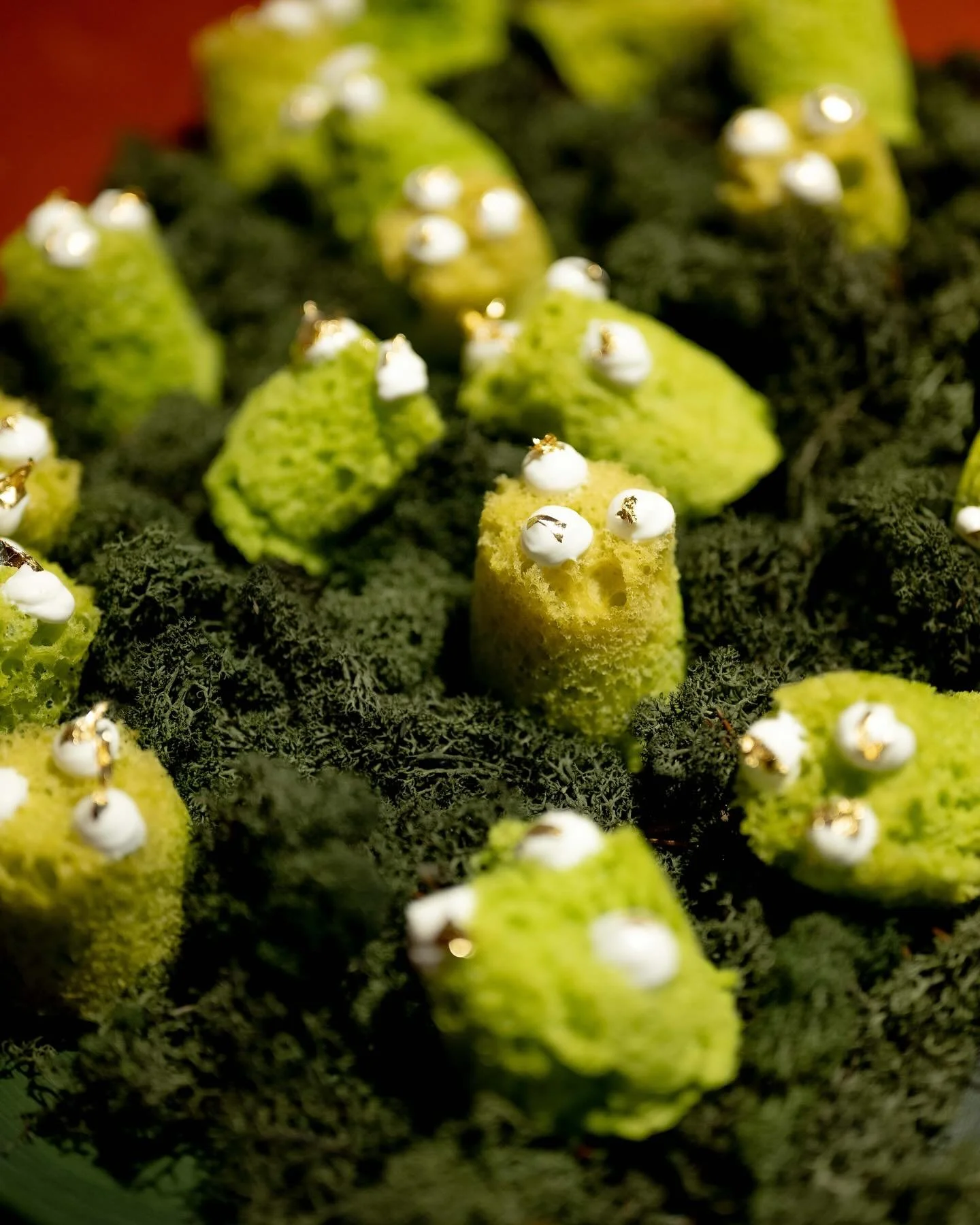 Amuse and starters Oddplaces - Isart 2024 @charlottevdgaag @isart_amsterdam