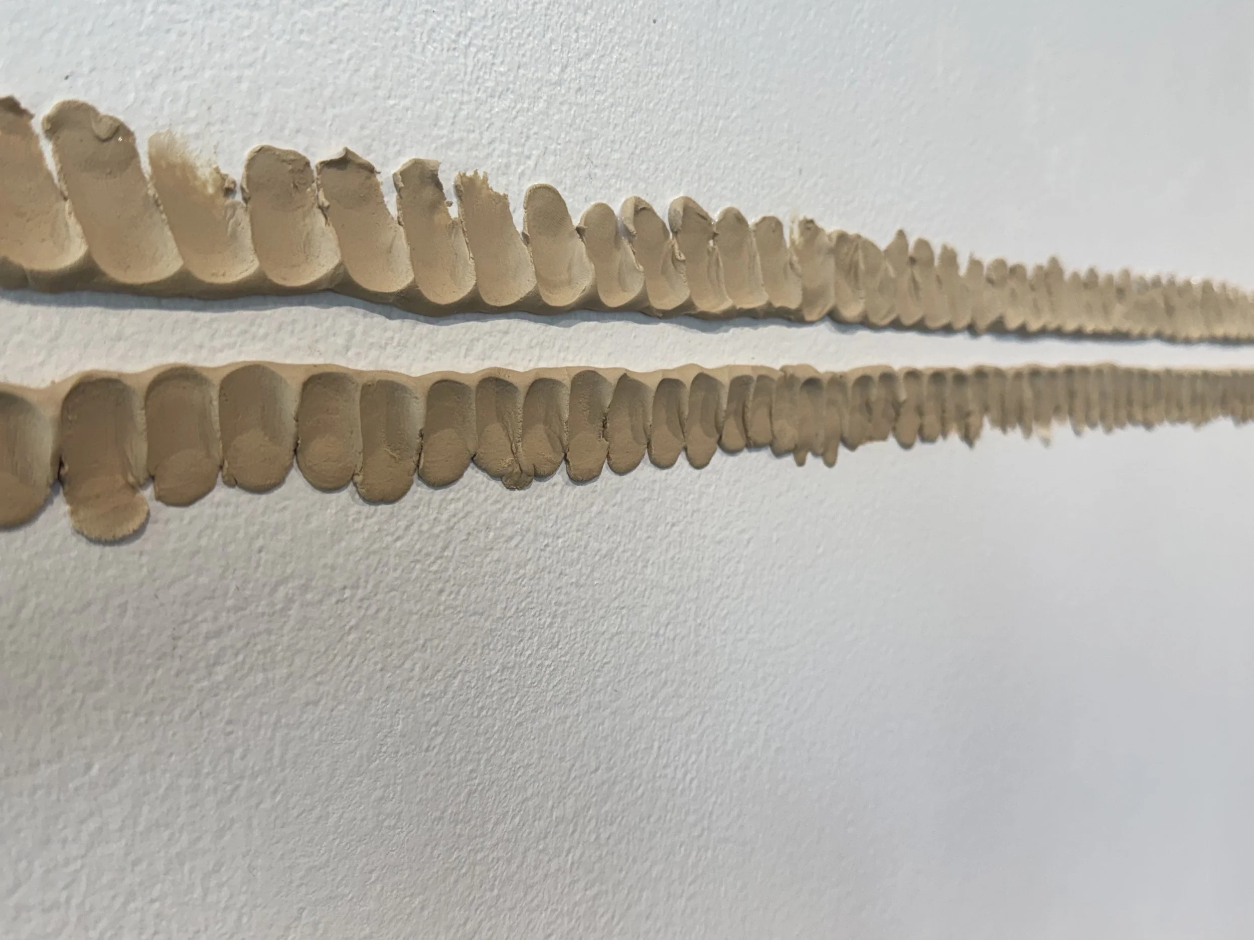 florida wall.jpg