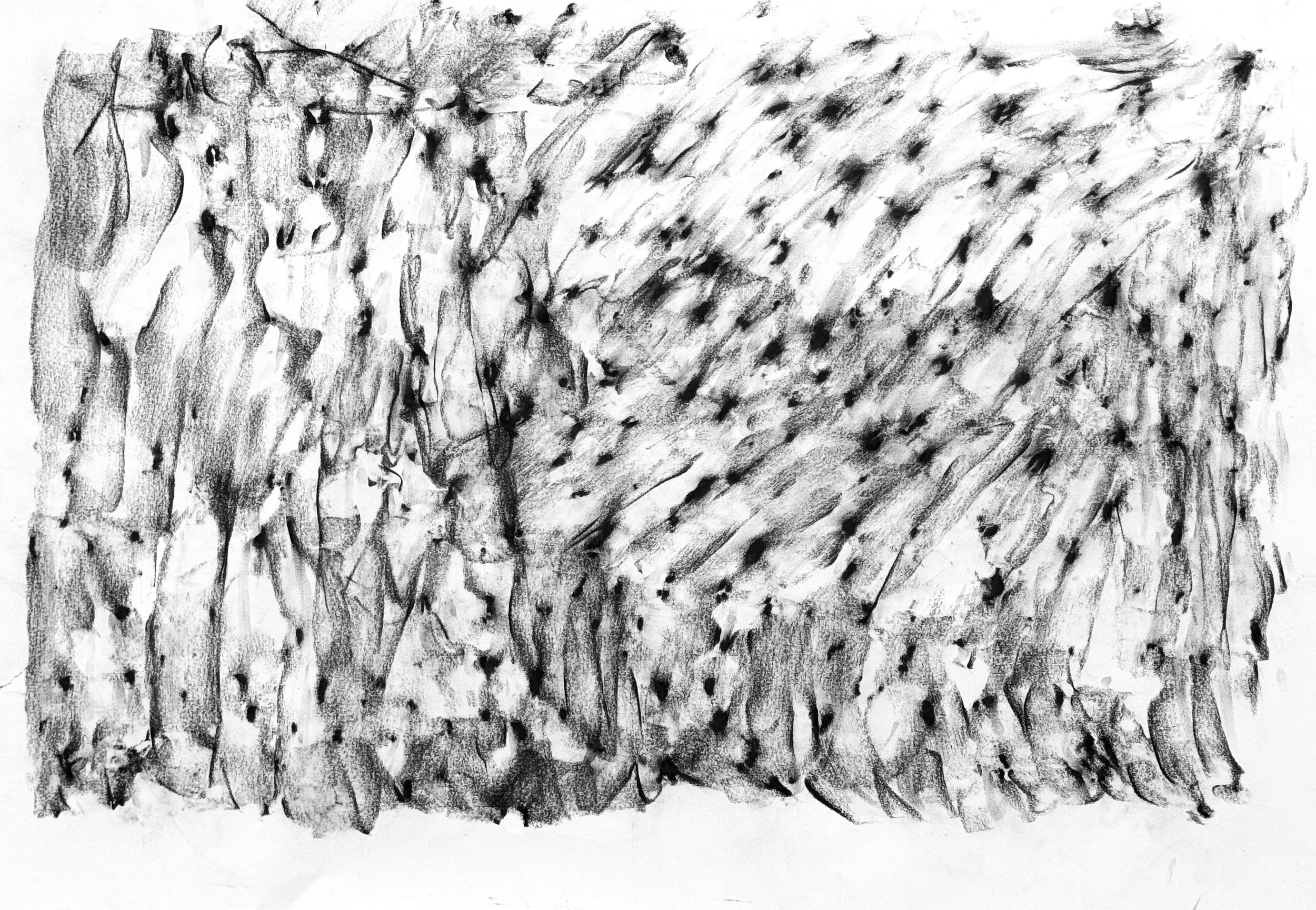 IMG_3122 resize for spoonflower.jpeg