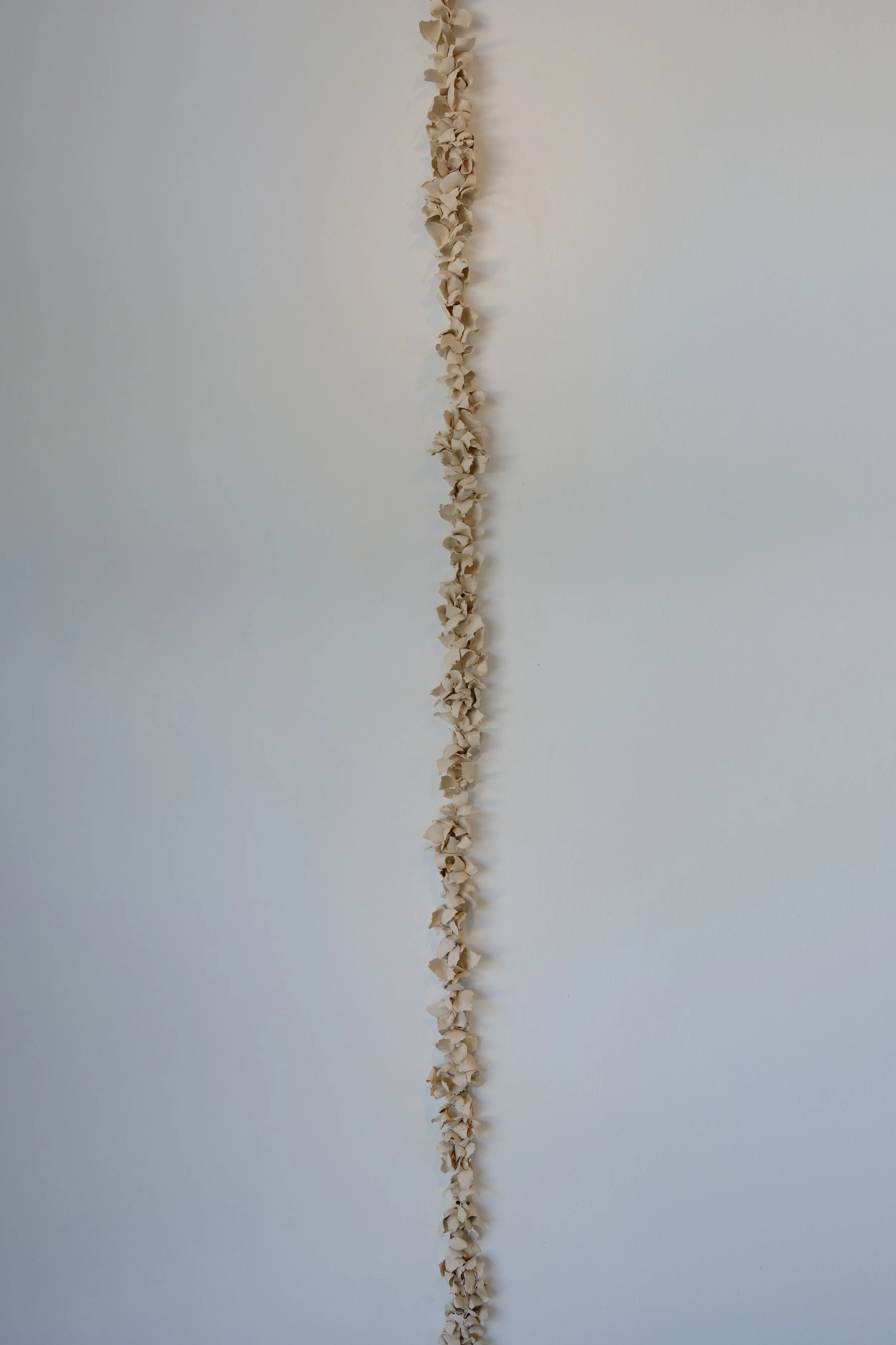 DSCF4192.JPG