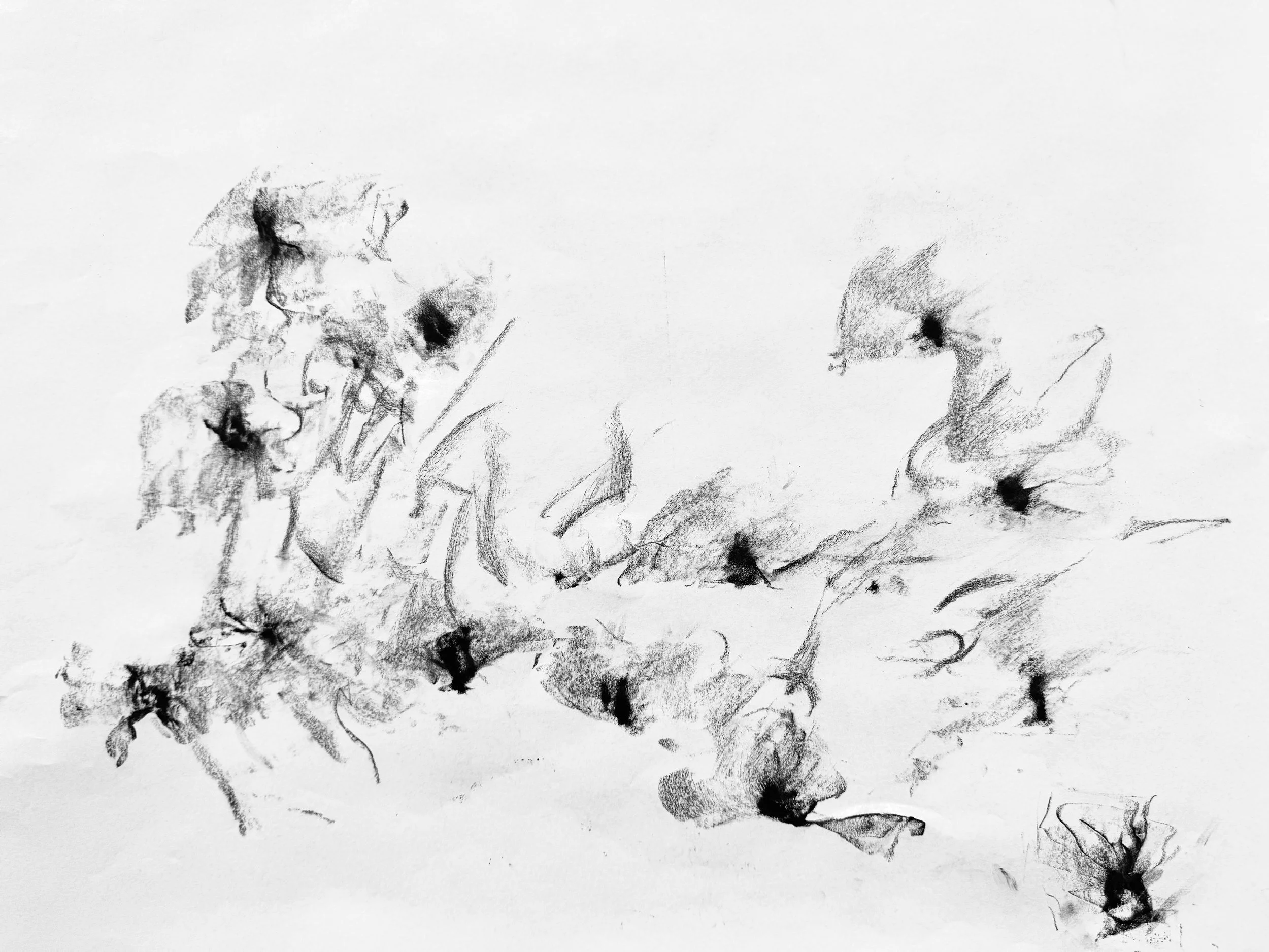 IMG_3557 resize for spoonflower.jpg