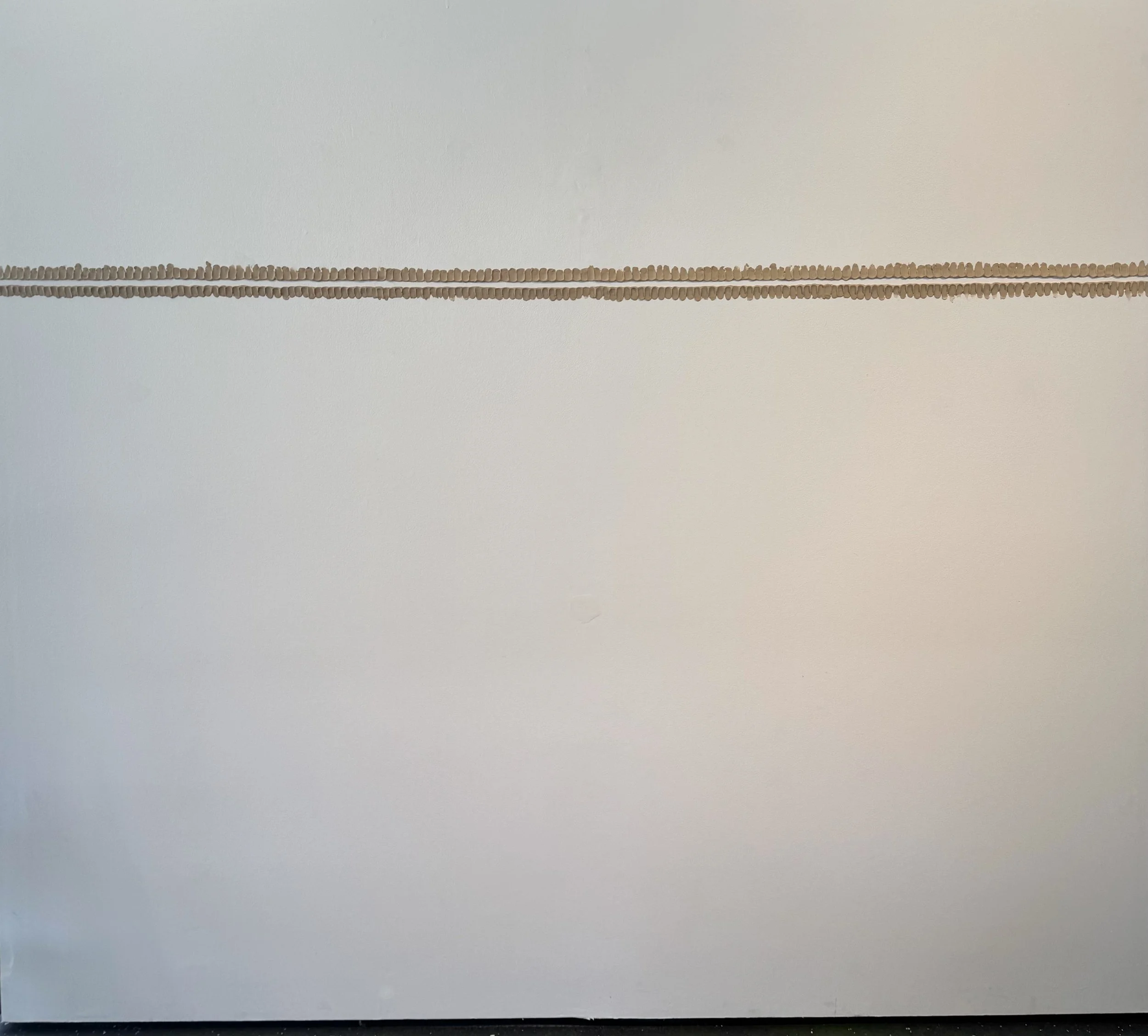 florida wall 1.jpg