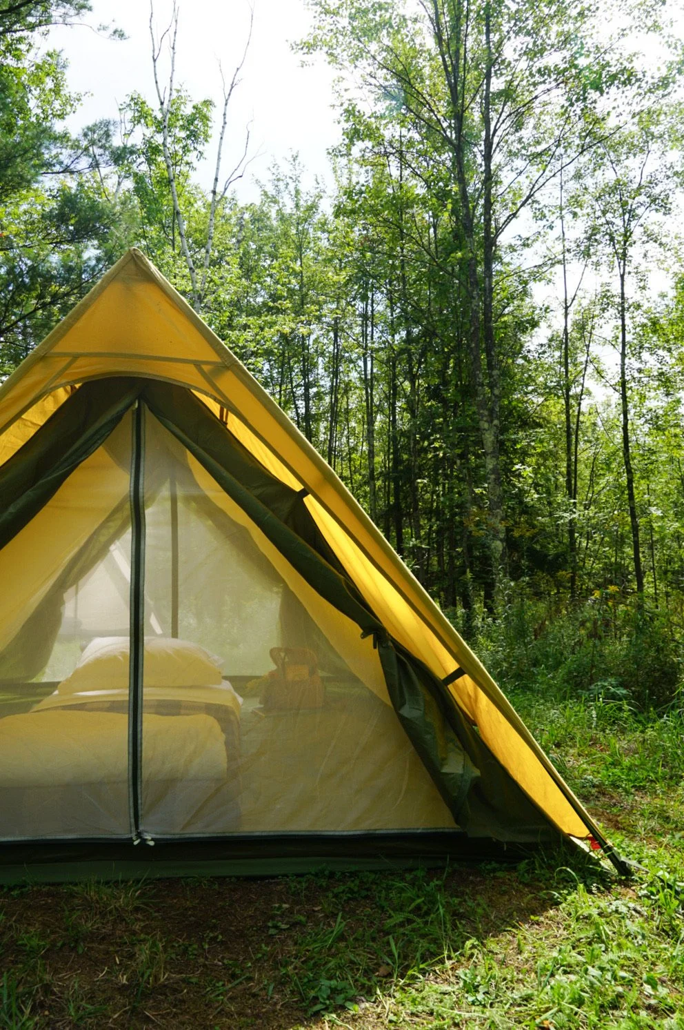 F588C733-C63C-4E71-92AA-18993234DD85 copy.JPG