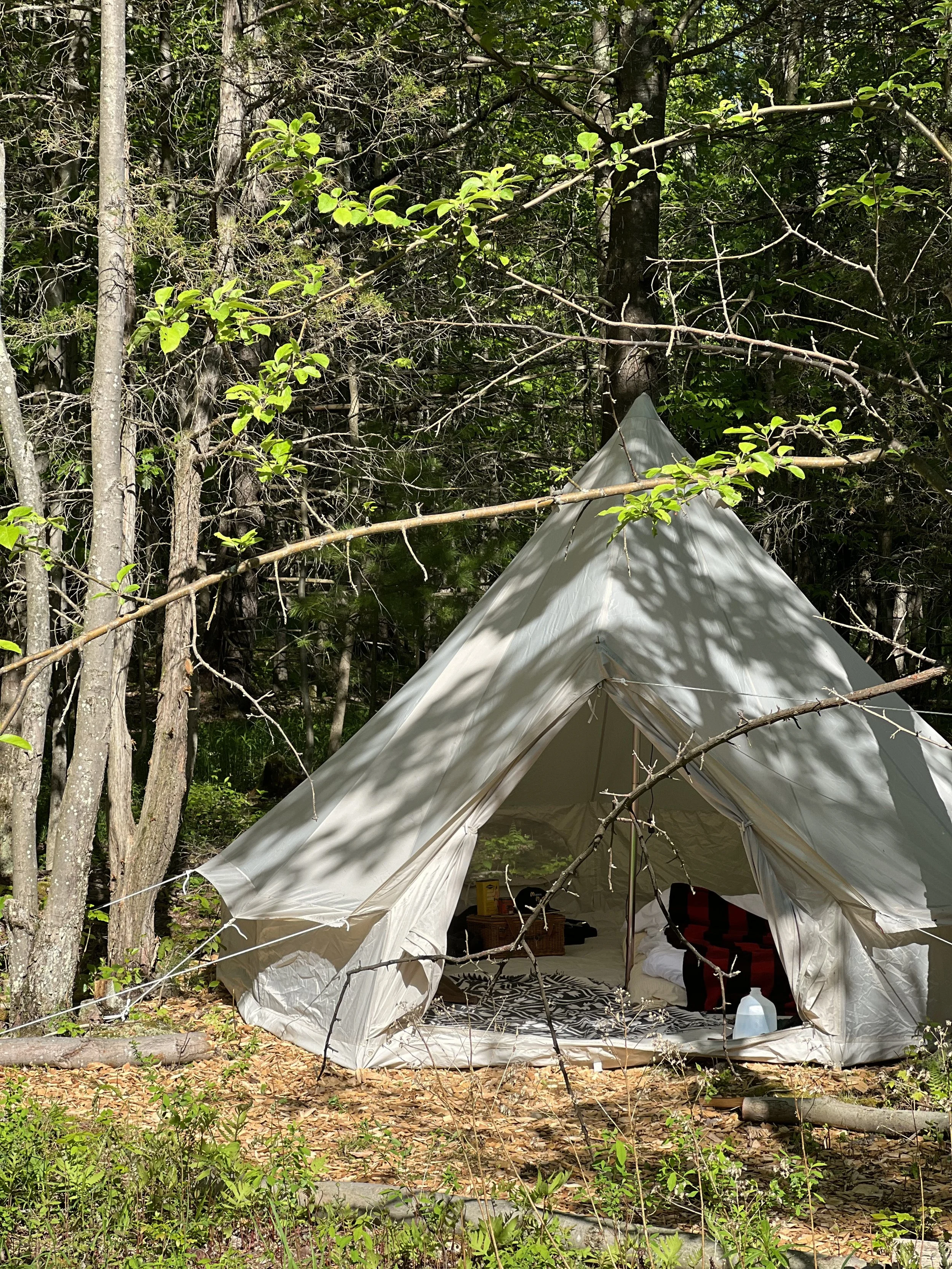 Copy of IMG_1541.jpeg