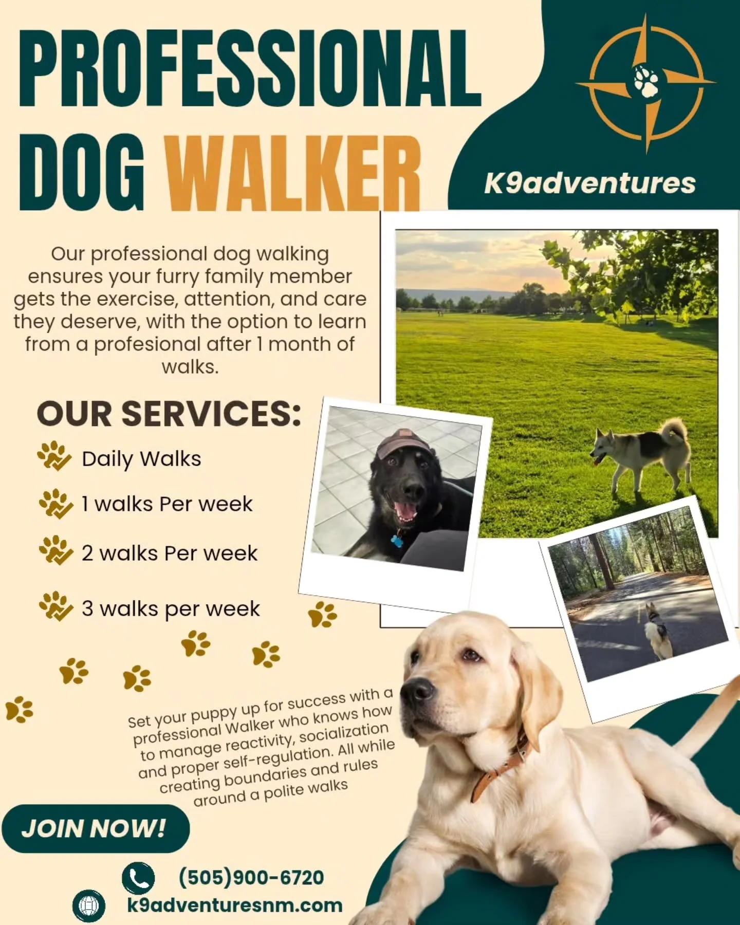 Start the year off right and teach your dogs exactly what you expect of them on their walks🐕❤️