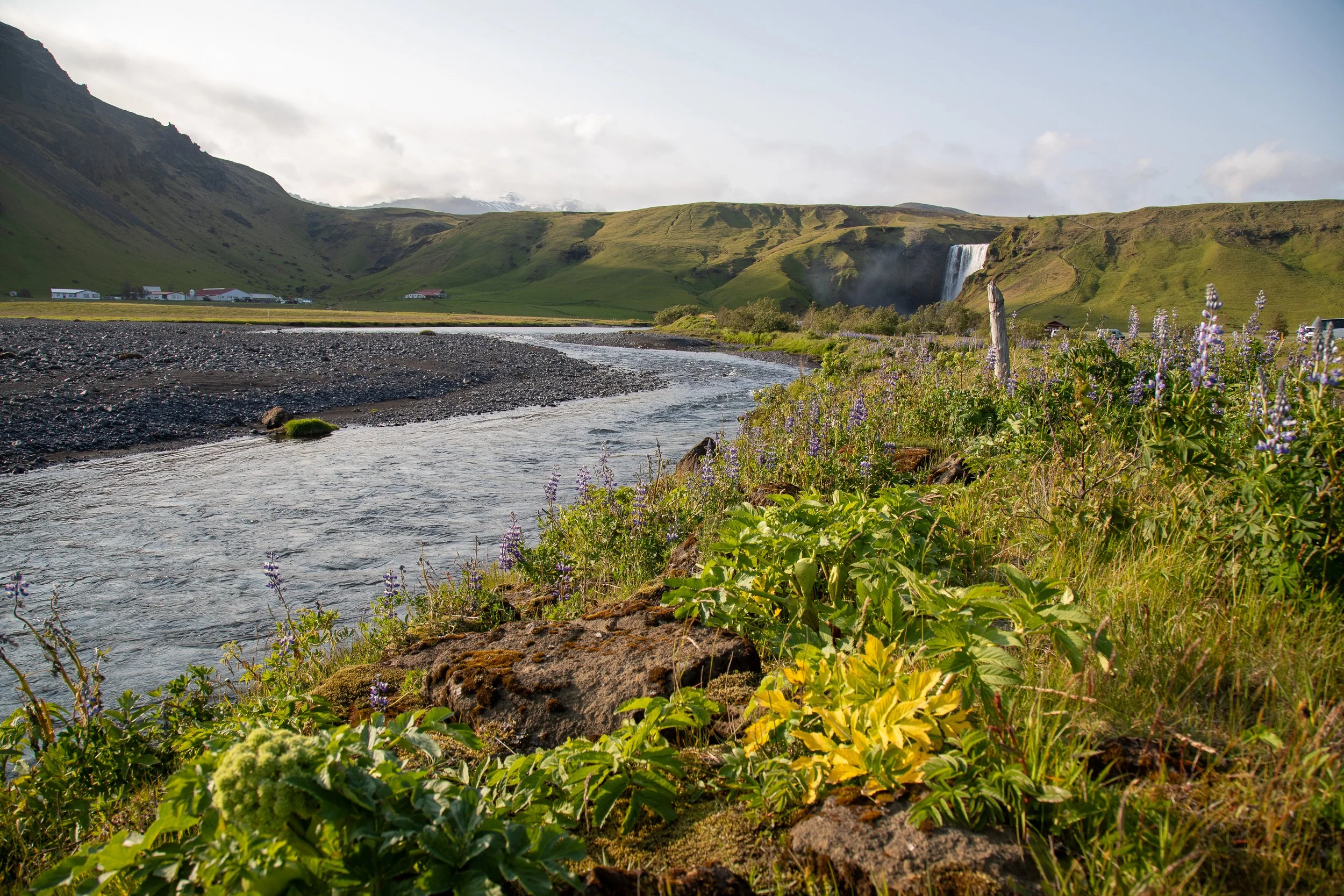 Kelly Pendery-9774.jpg