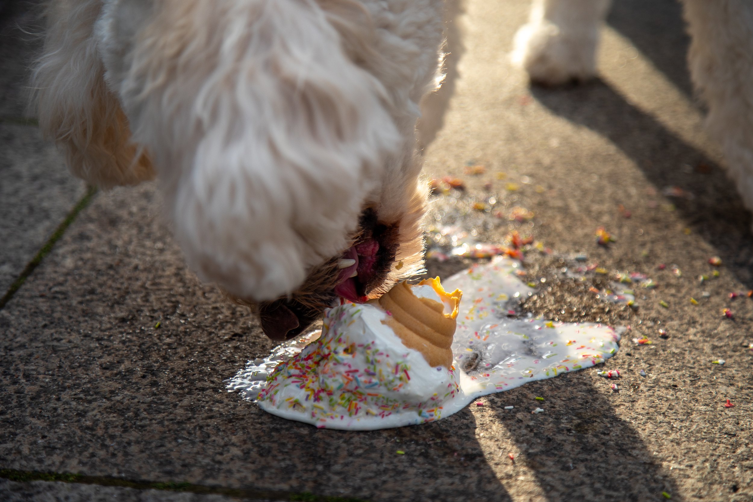 Kelly Pendery-0727-2.jpg